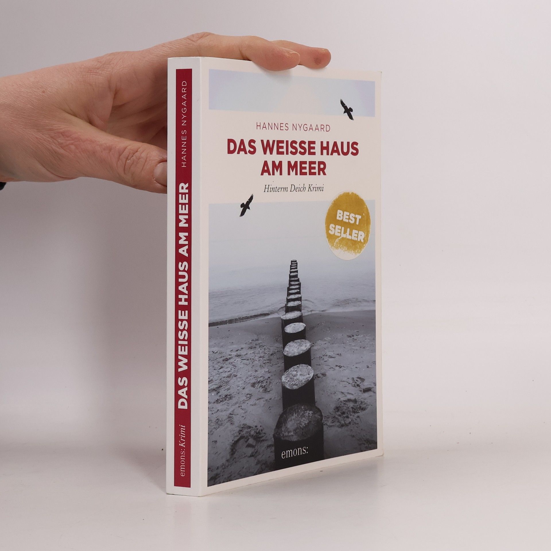 Hannes Nygaard Das Weiße Haus am Meer