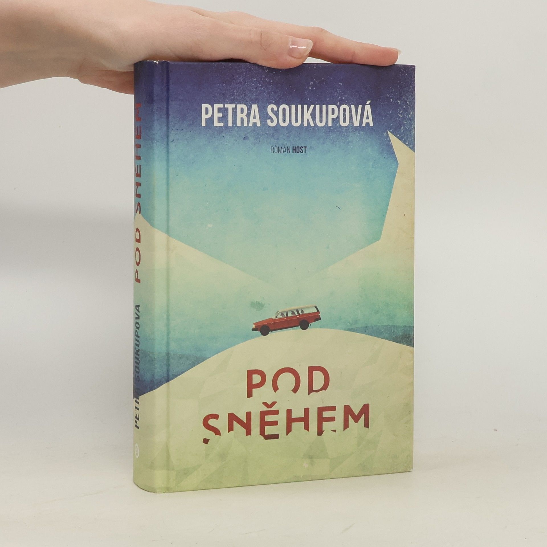 Petra Soukupova Pod sněhem