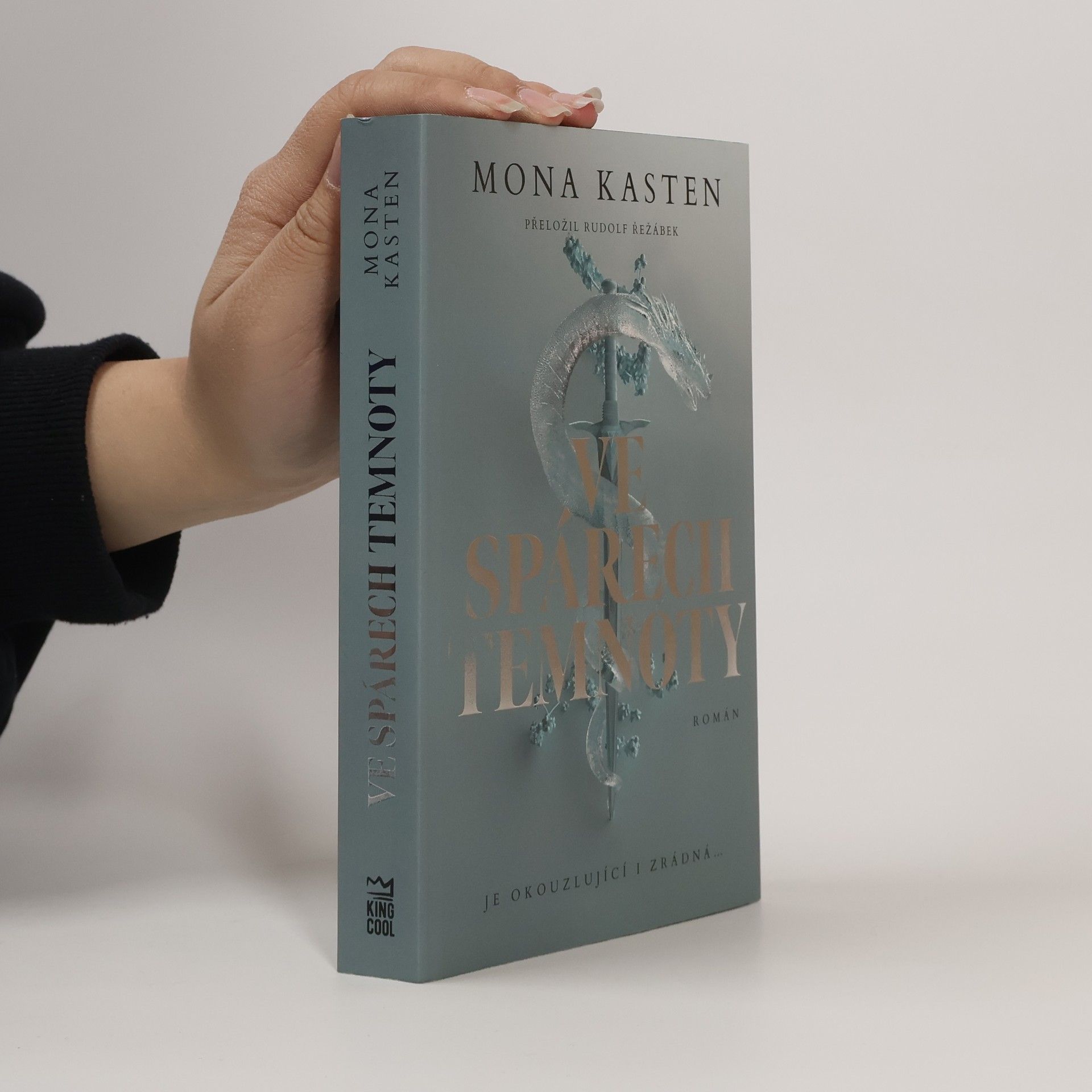 Mona Kasten Ve spárech temnoty