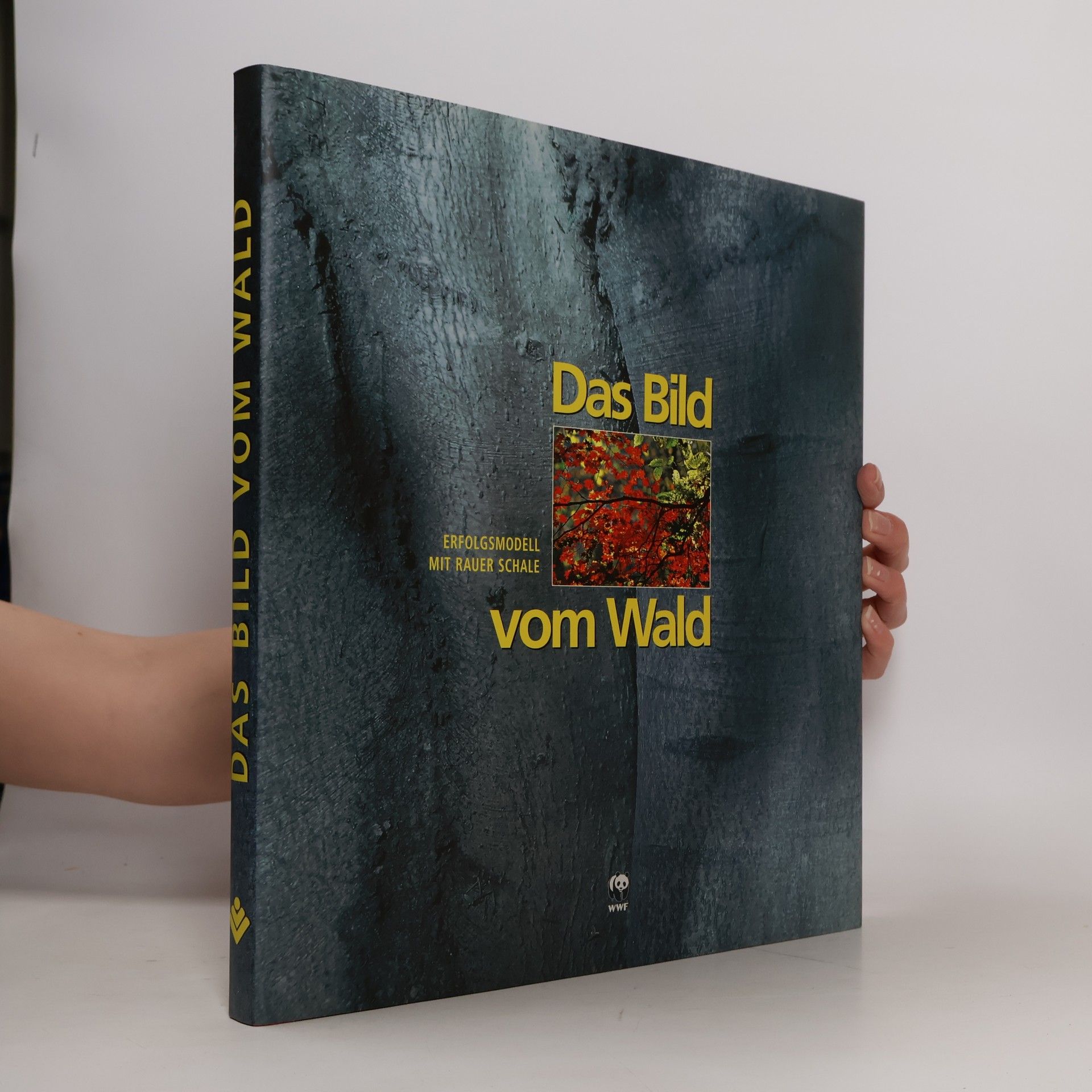 Autorenkollektiv Das Bild vom Wald