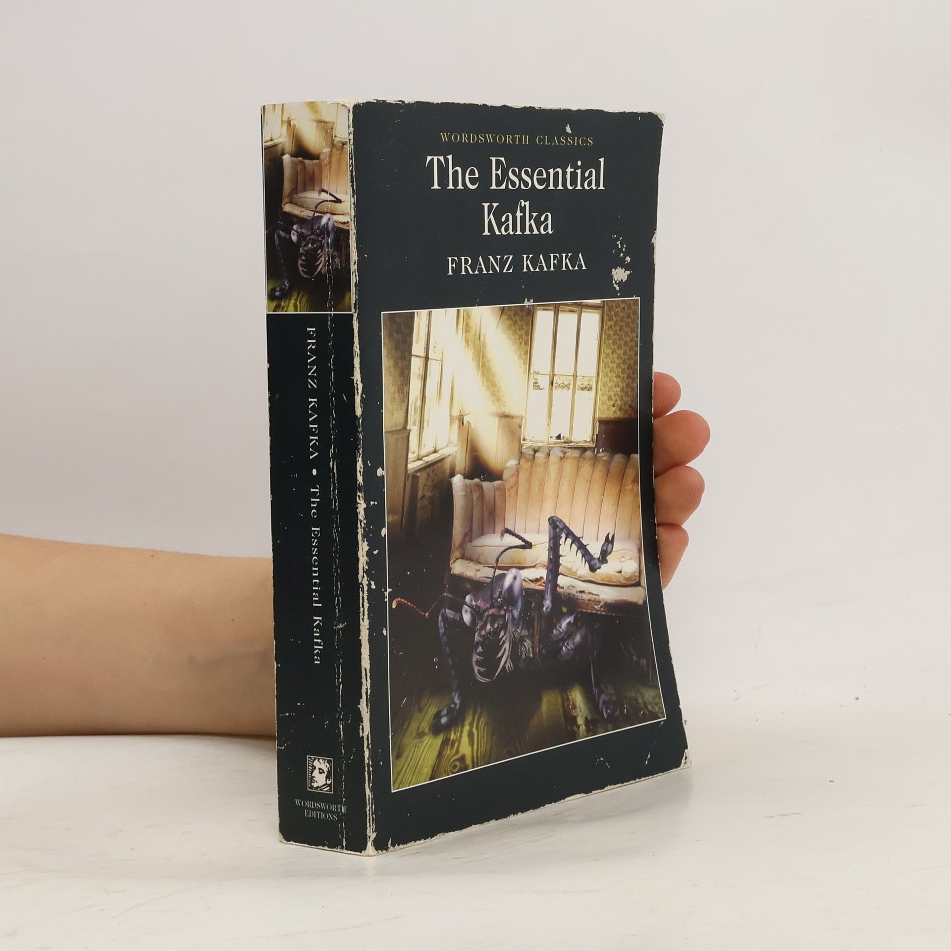 Franz Kafka The Essential Kafka