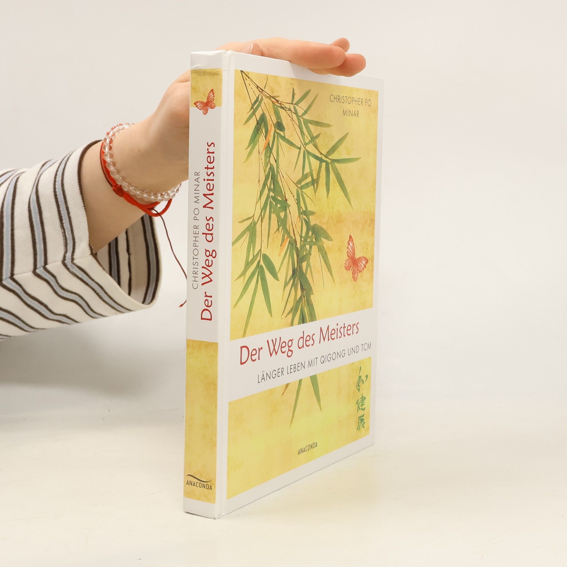 Christopher Po Minar Der Weg des Meisters