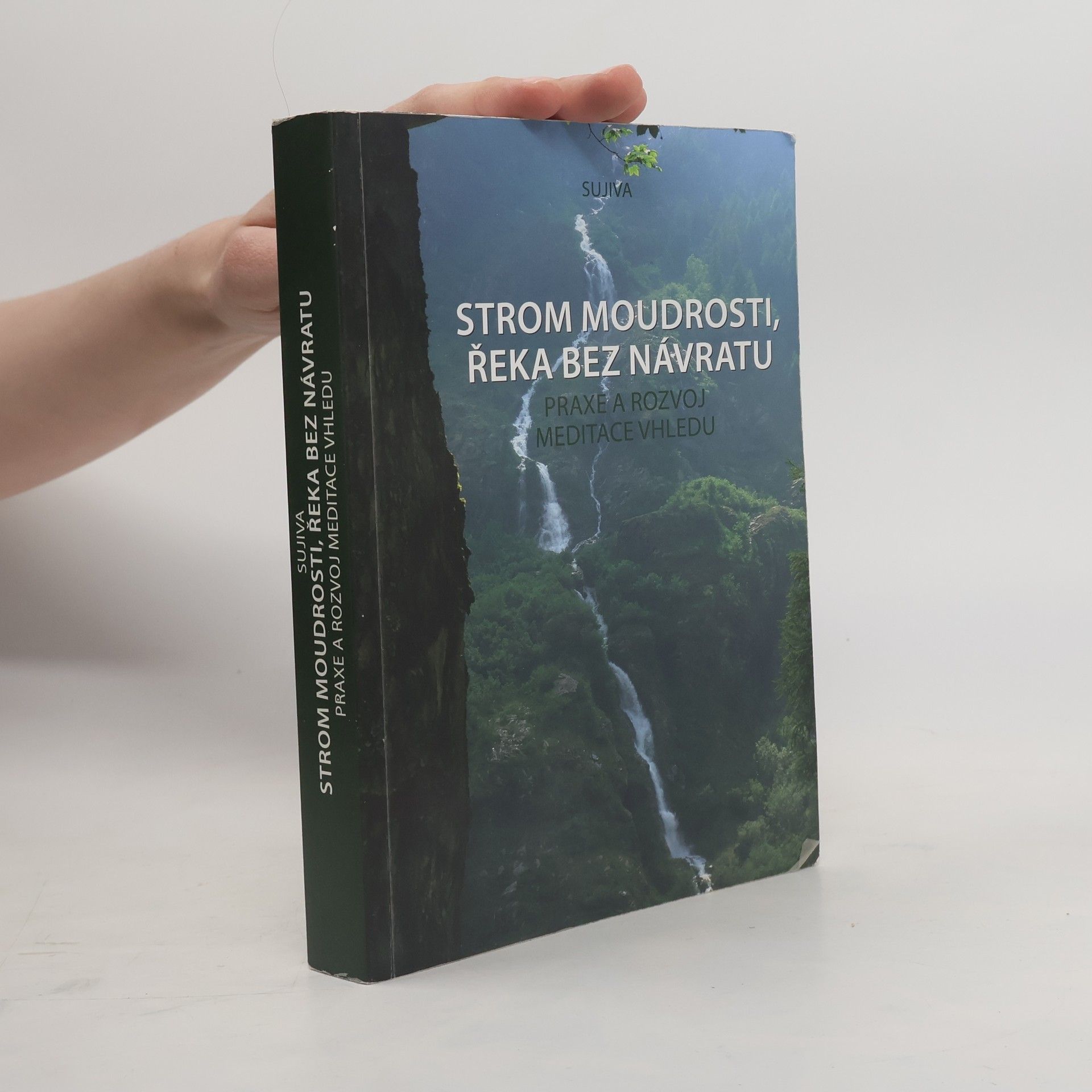 Kolektív autorov Strom moudrosti, řeka bez návratu