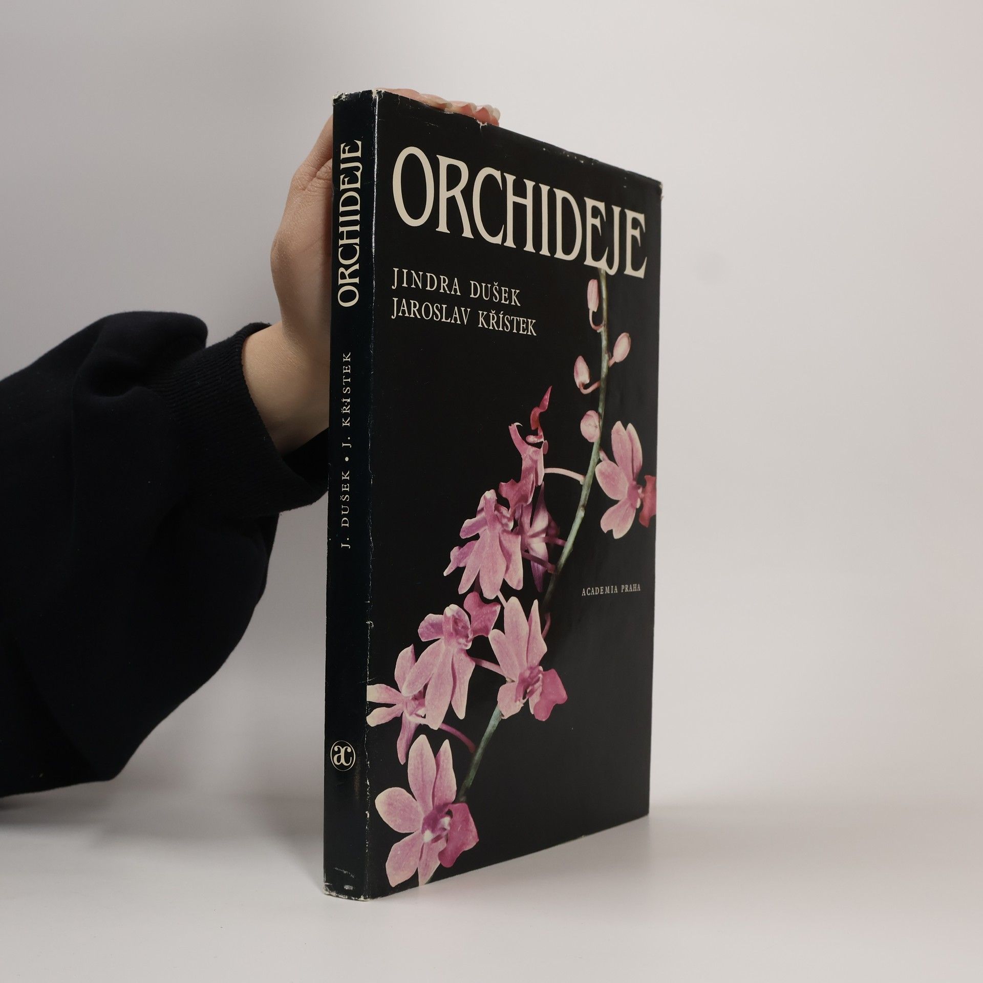 Jindra Dušek Orchideje