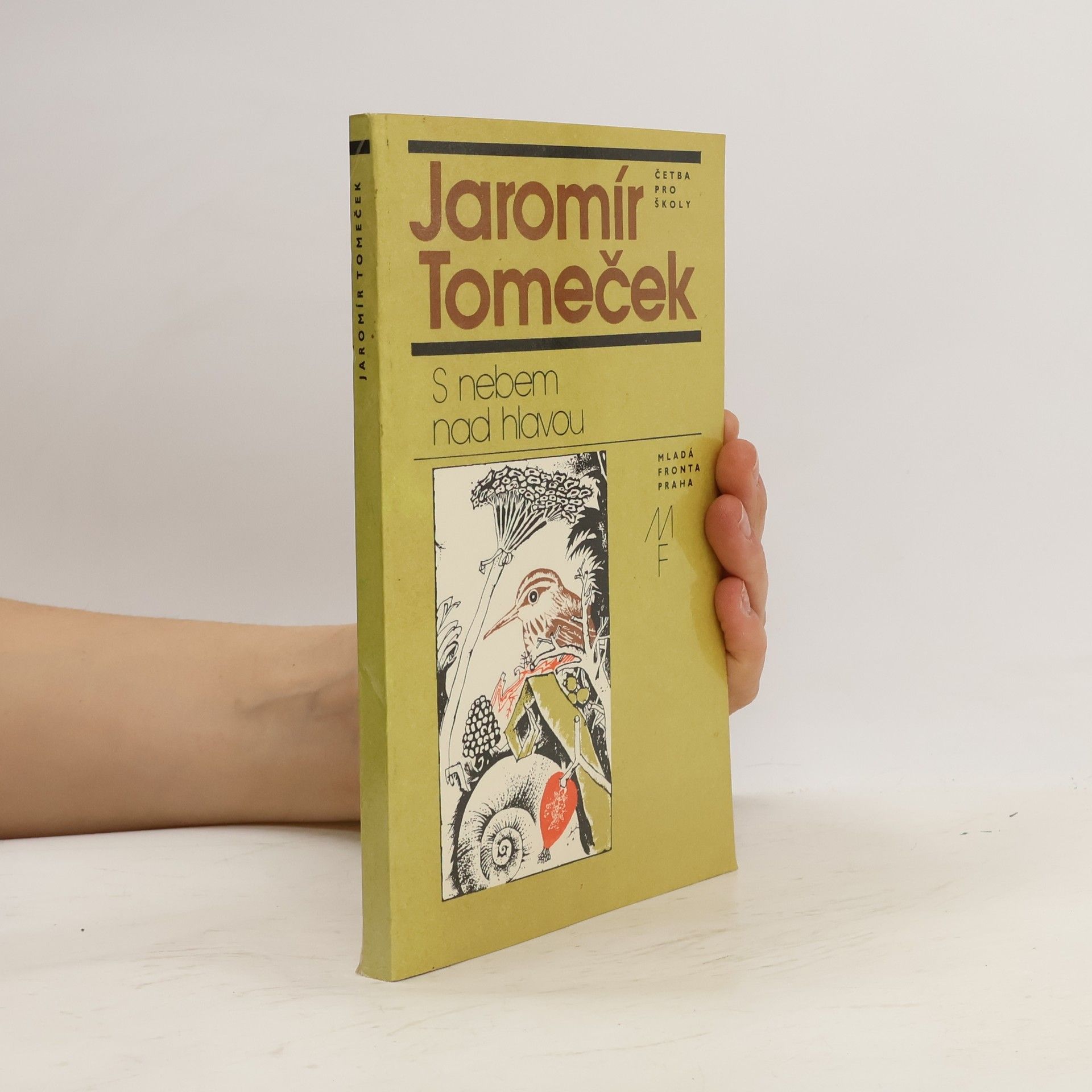 Jaromír Tomeček S nebem nad hlavou