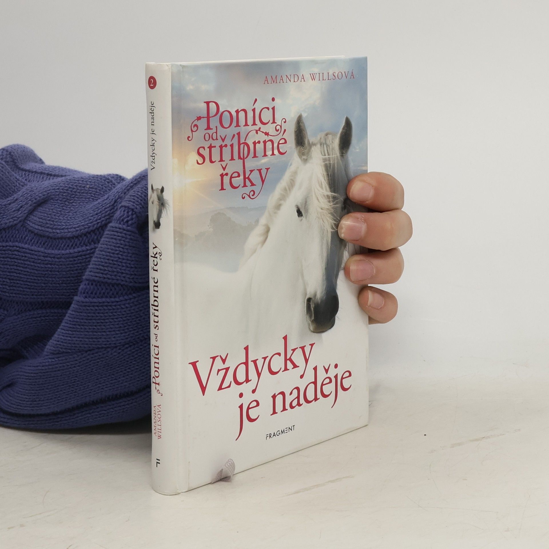 Amanda Wills Vždycky je naděje