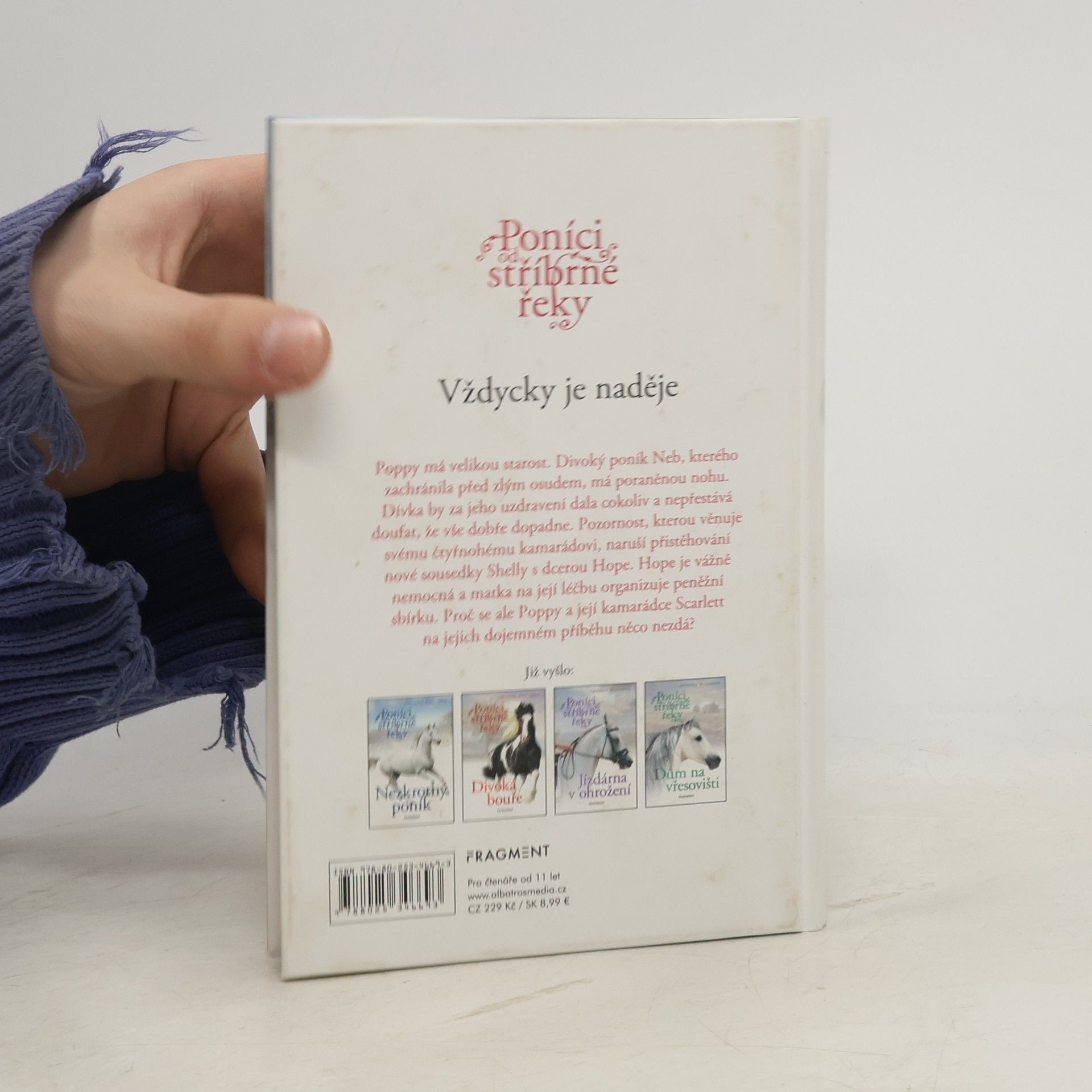 Amanda Wills Vždycky je naděje