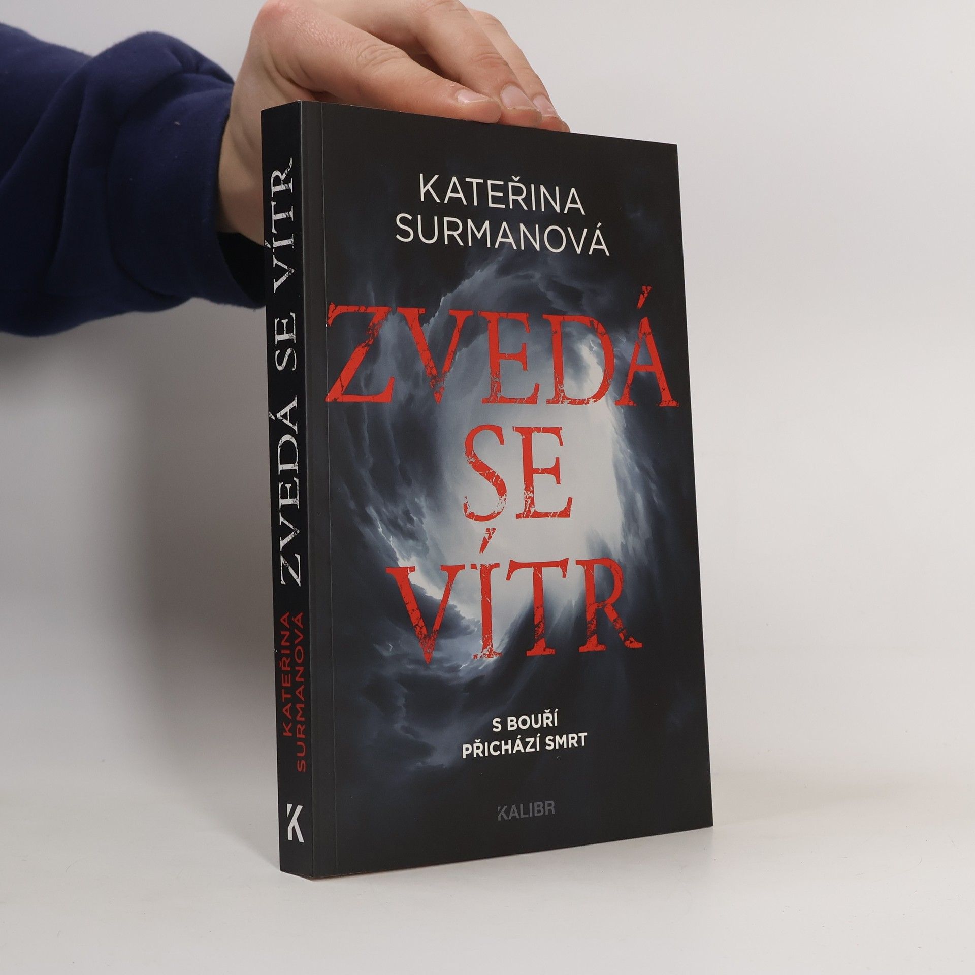 Kateřina Surmanová Zvedá se vítr