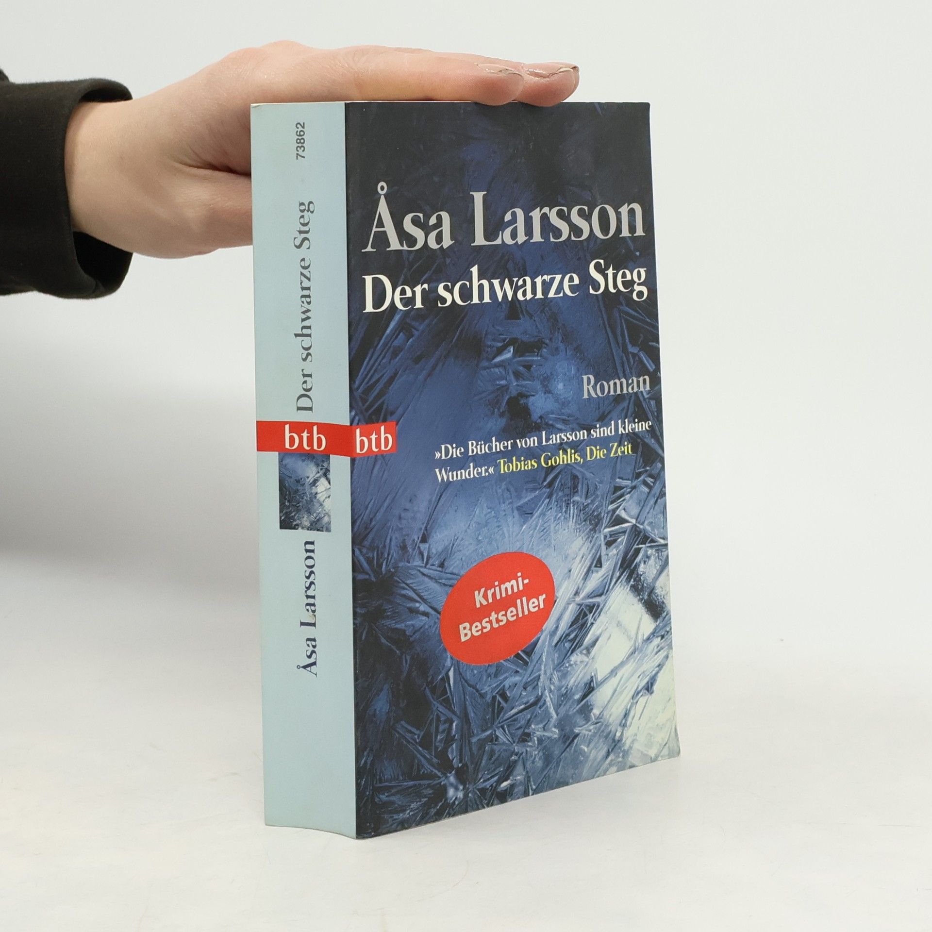 Åsa Larsson Der schwarze Steg