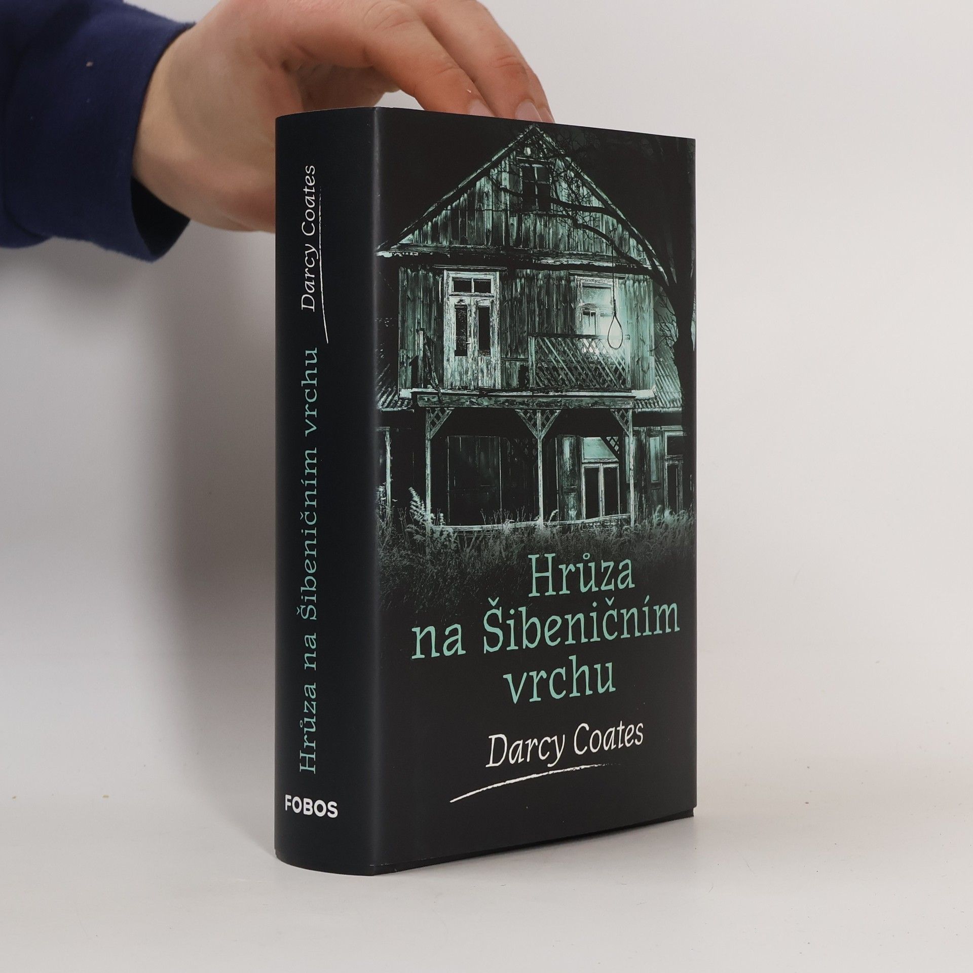 Darcy Coates Hrůza na Šibeničním vrchu