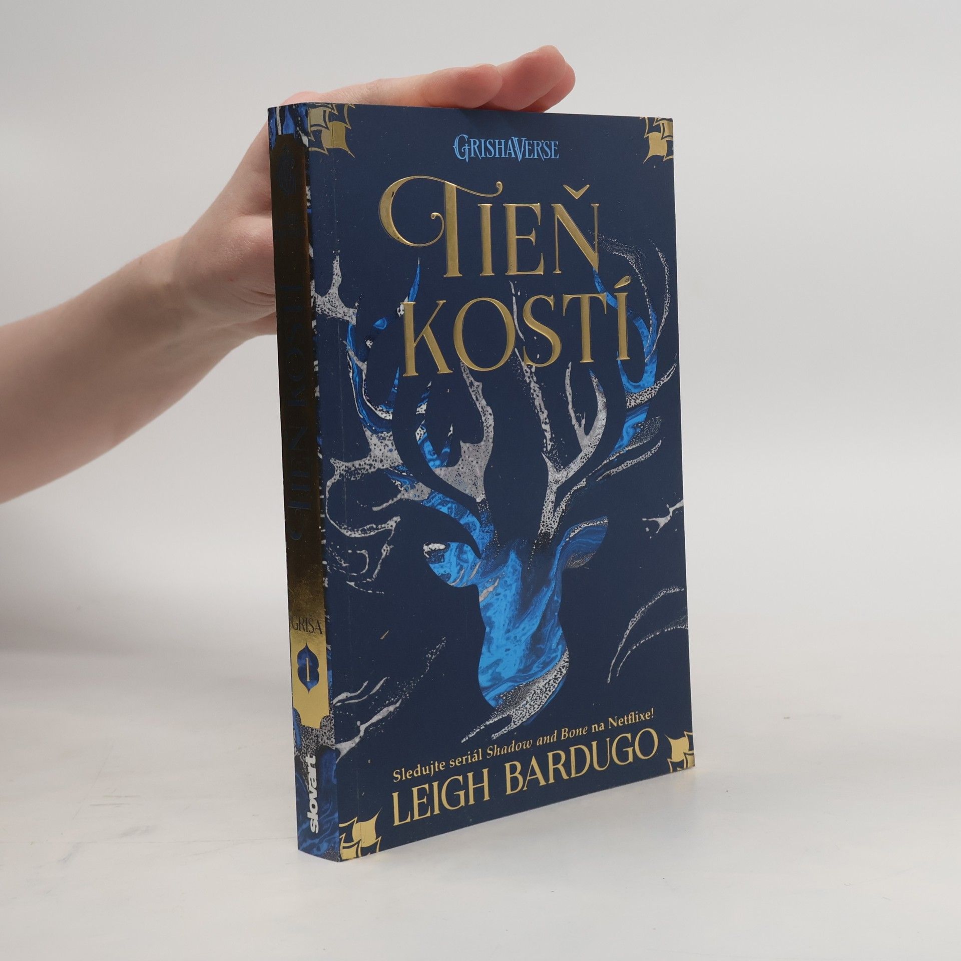 Leigh Bardugo Tieň kostí