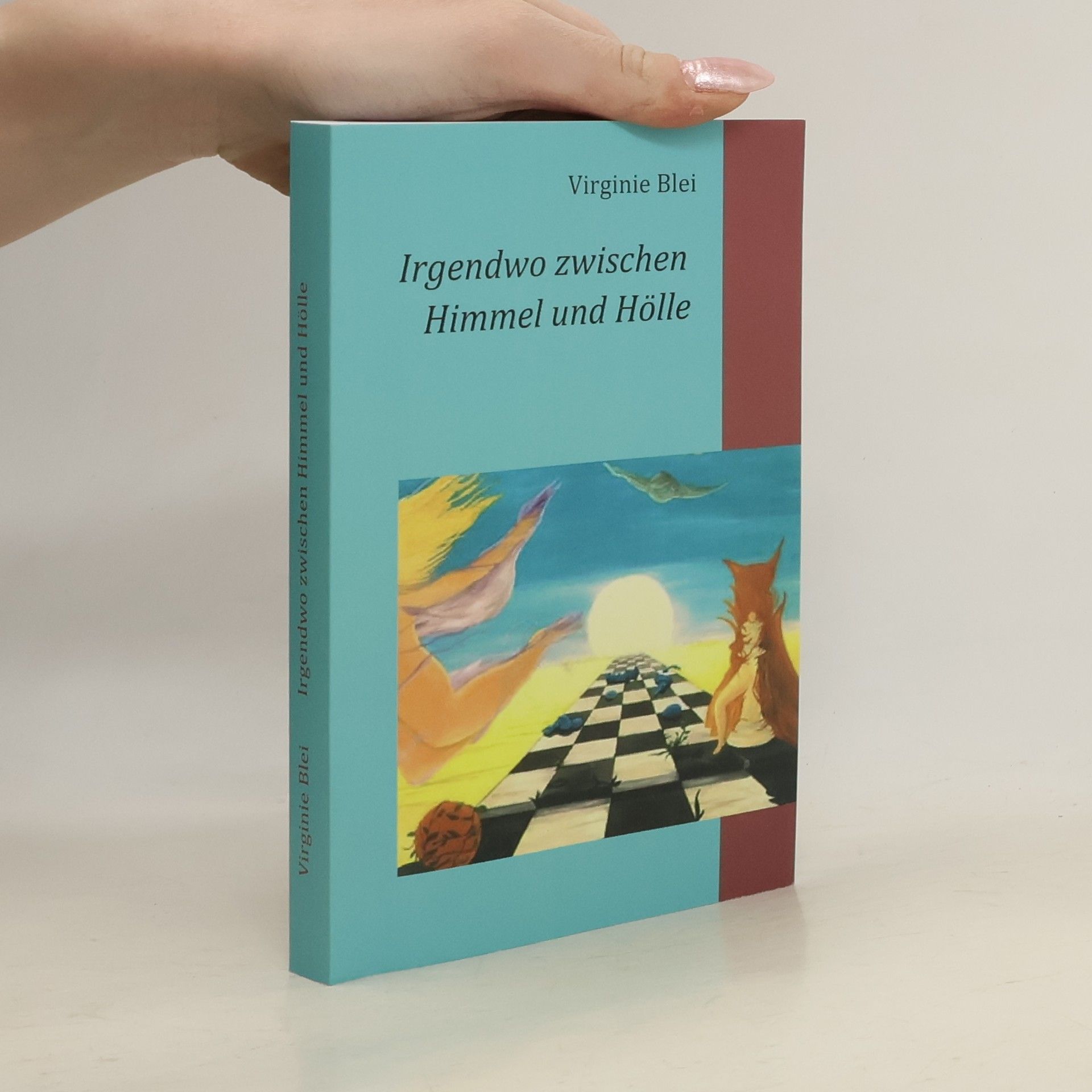 Virginie Blei Irgendwo zwischen Himmel und Hölle