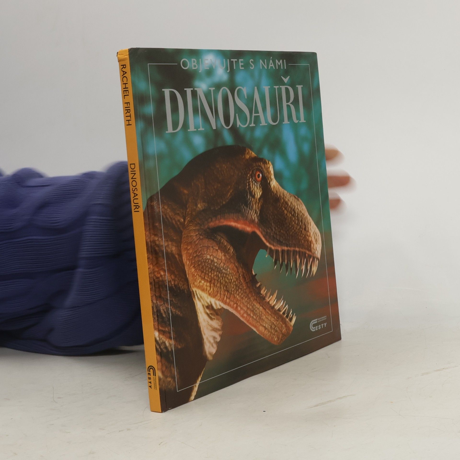 Rachel Firth Dinosauři