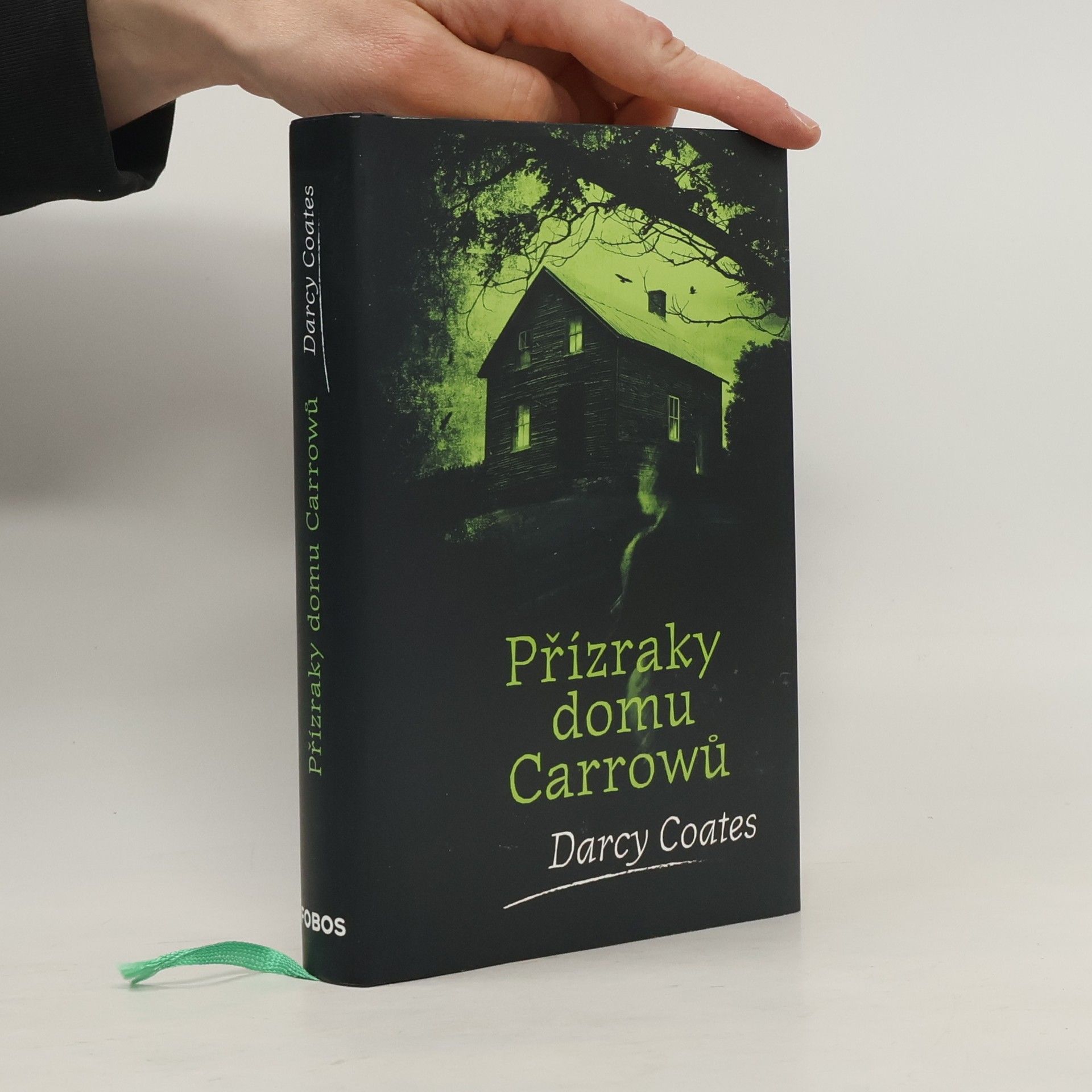 Darcy Coates Přízraky domu Carrowů