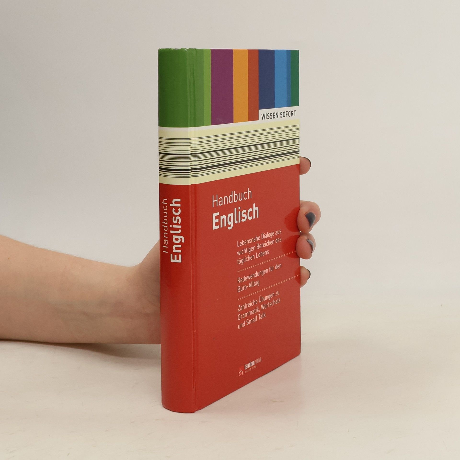 Collectif d'auteurs Handbuch Englisch