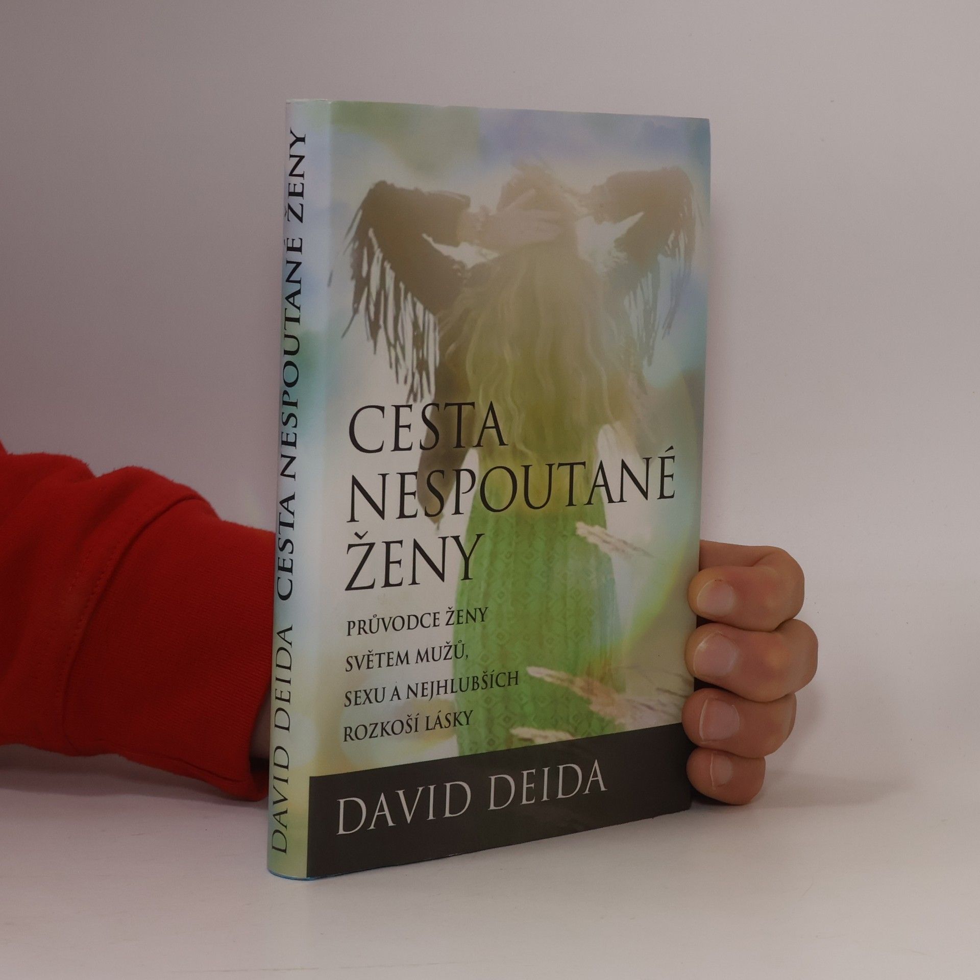 David Deida Cesta nespoutané ženy