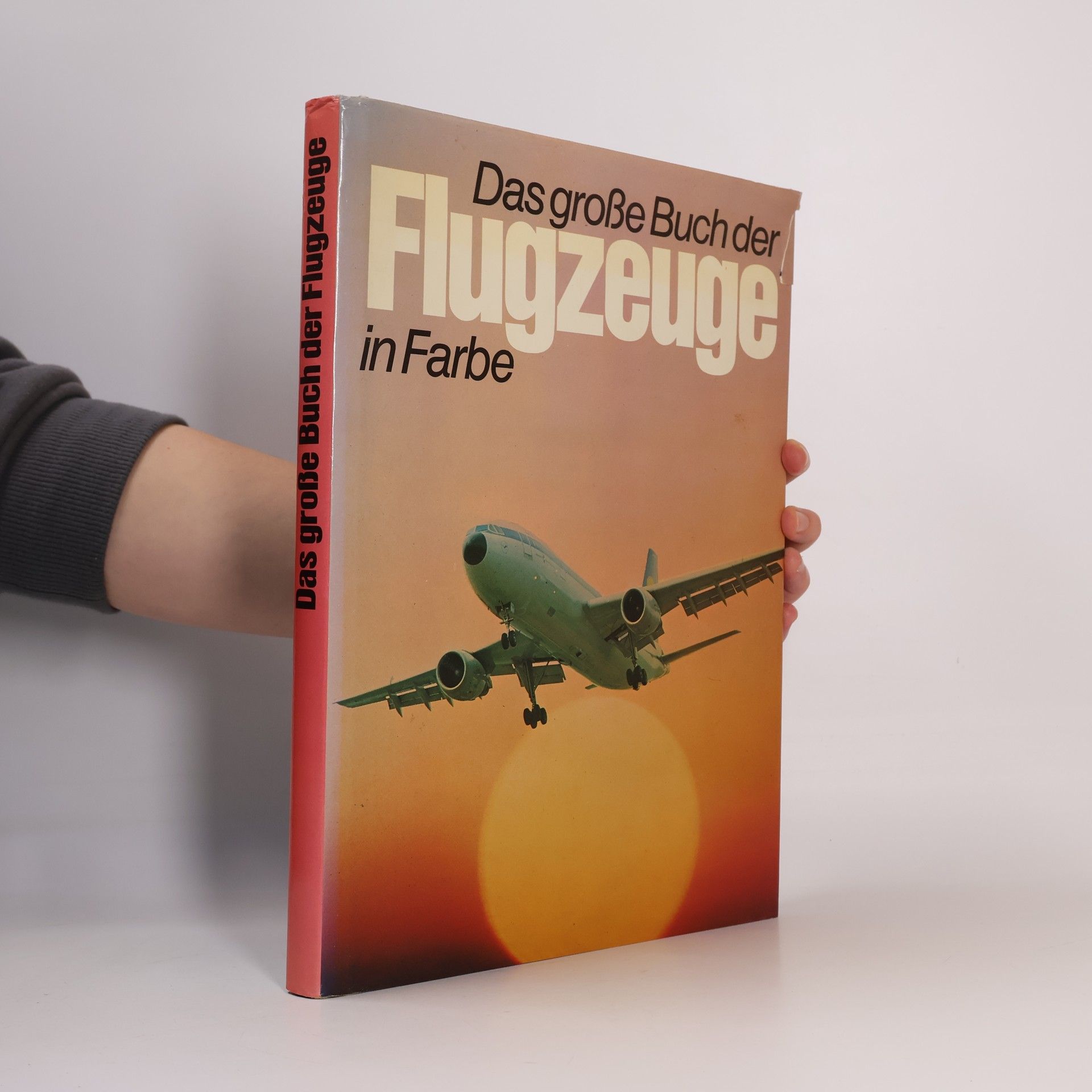 Autorenkollektiv Das große Buch der Flugzeuge in Farbe