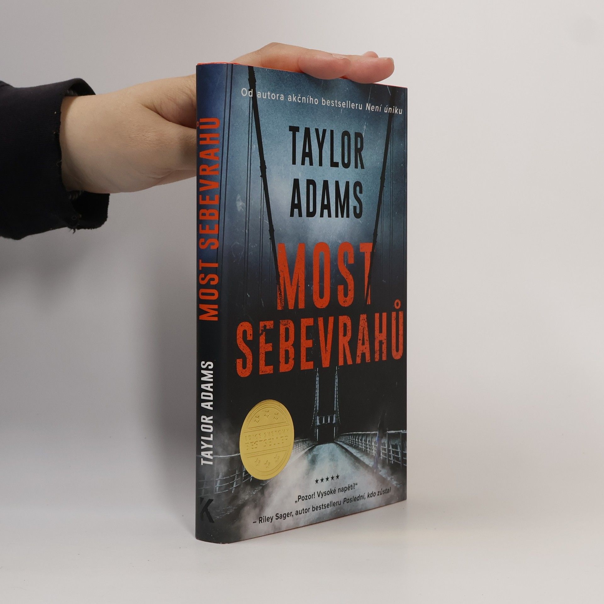 Taylor Adams Most sebevrahů