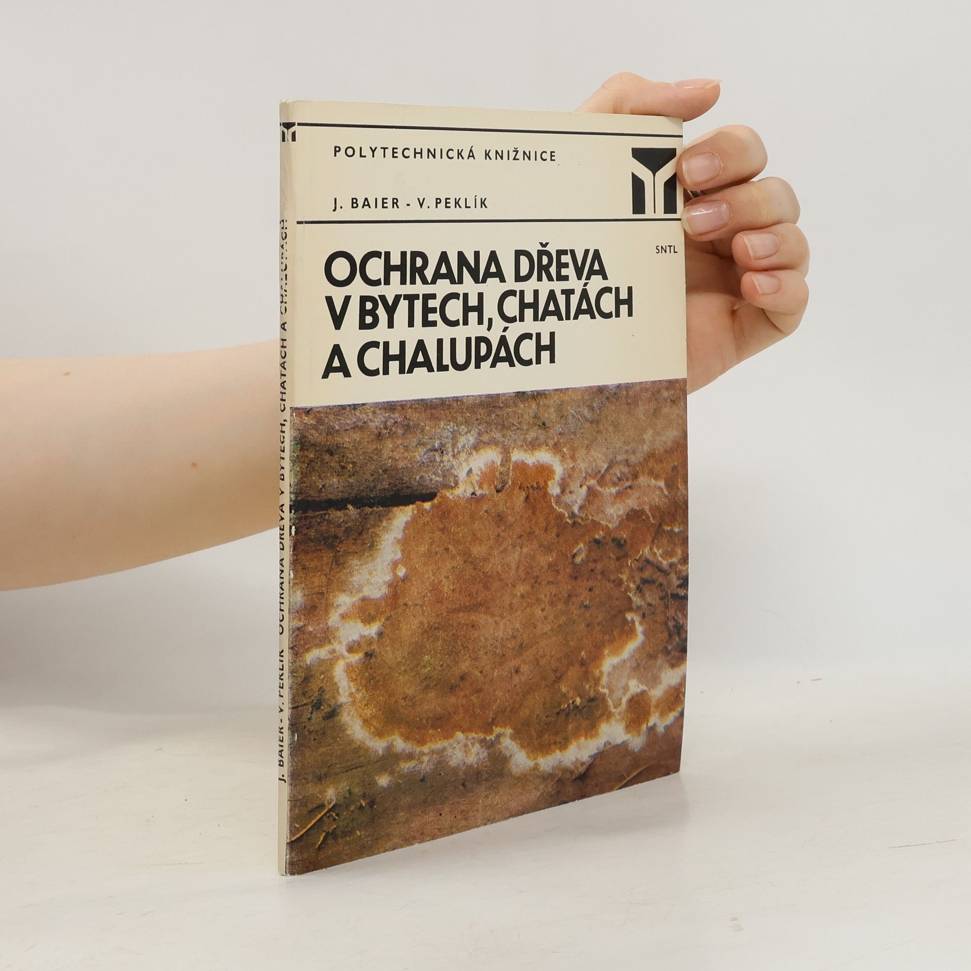 Jiří Baier Ochrana dřeva v bytech, chatách a chalupách