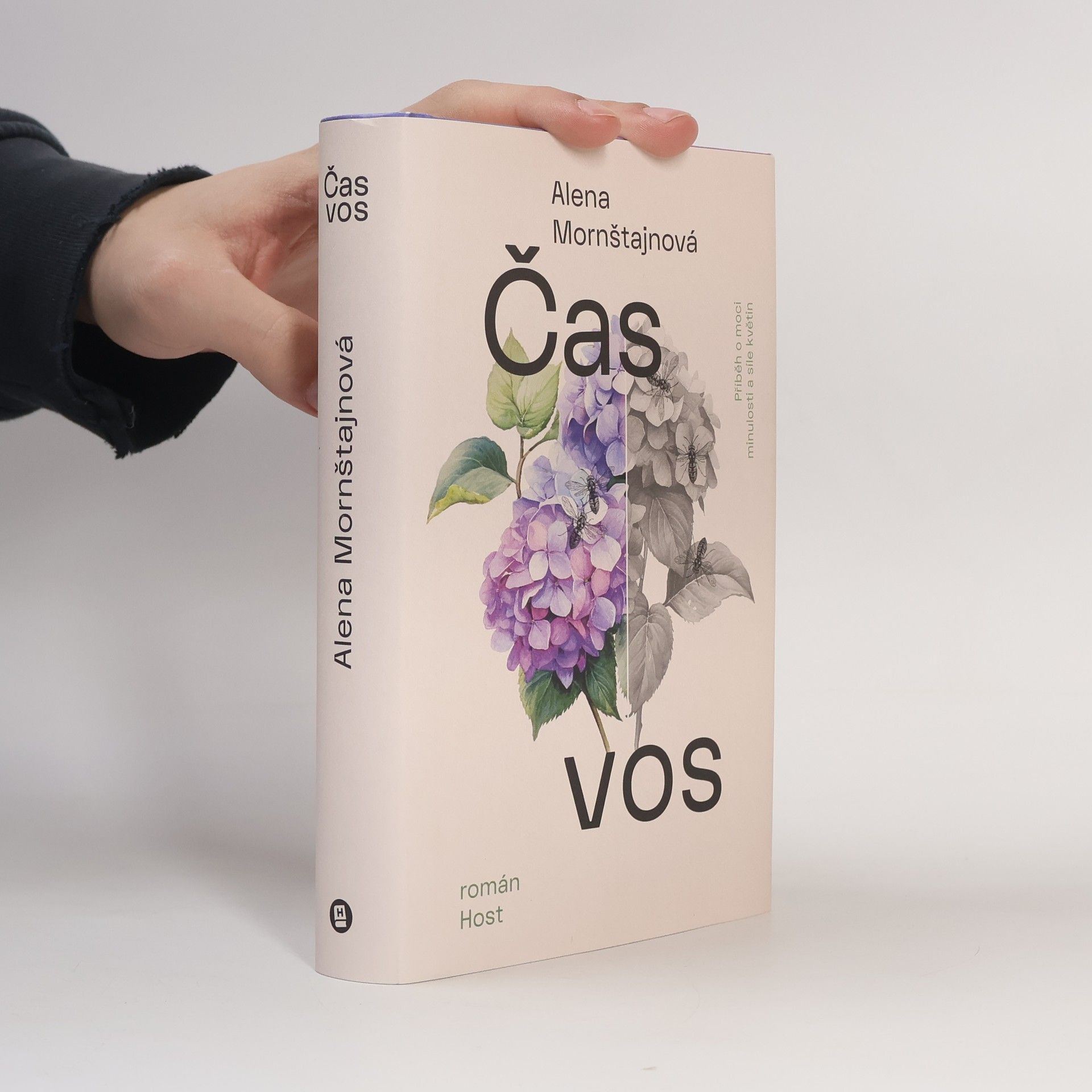 Alena Mornštajnová Čas vos