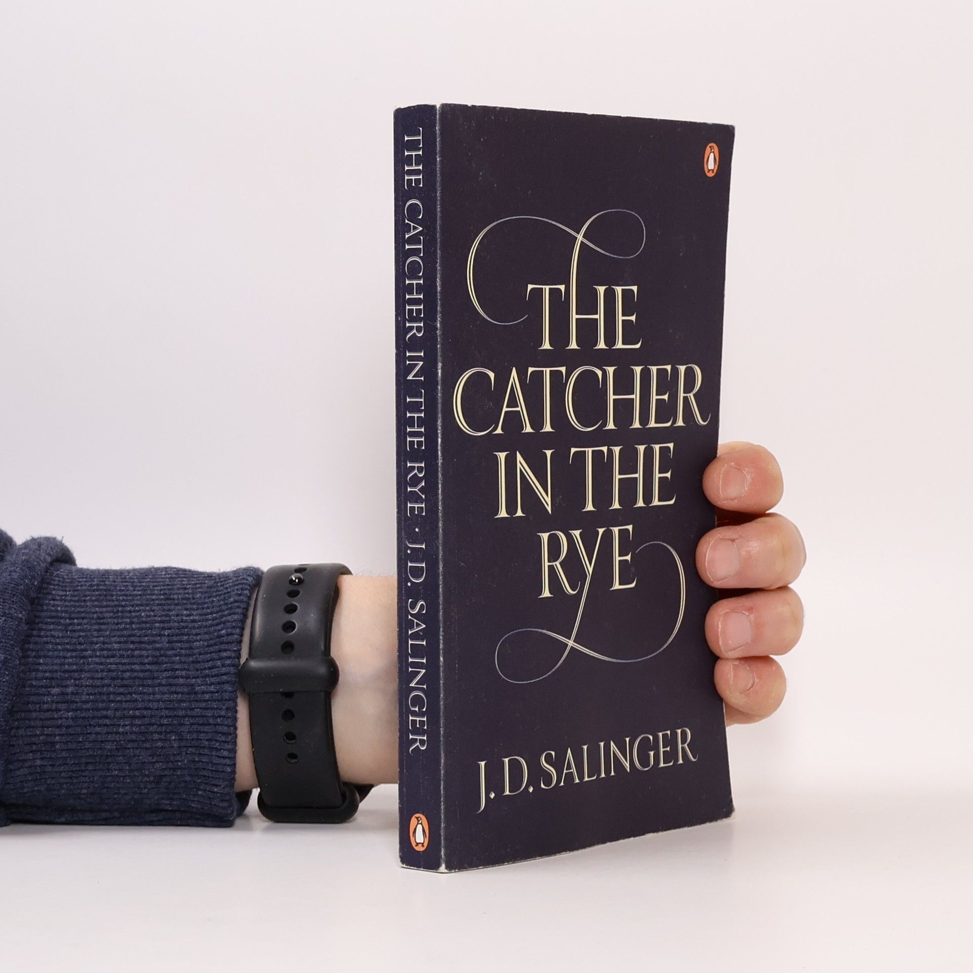 The catcher in the rye. (Kdo chytá v žitě)