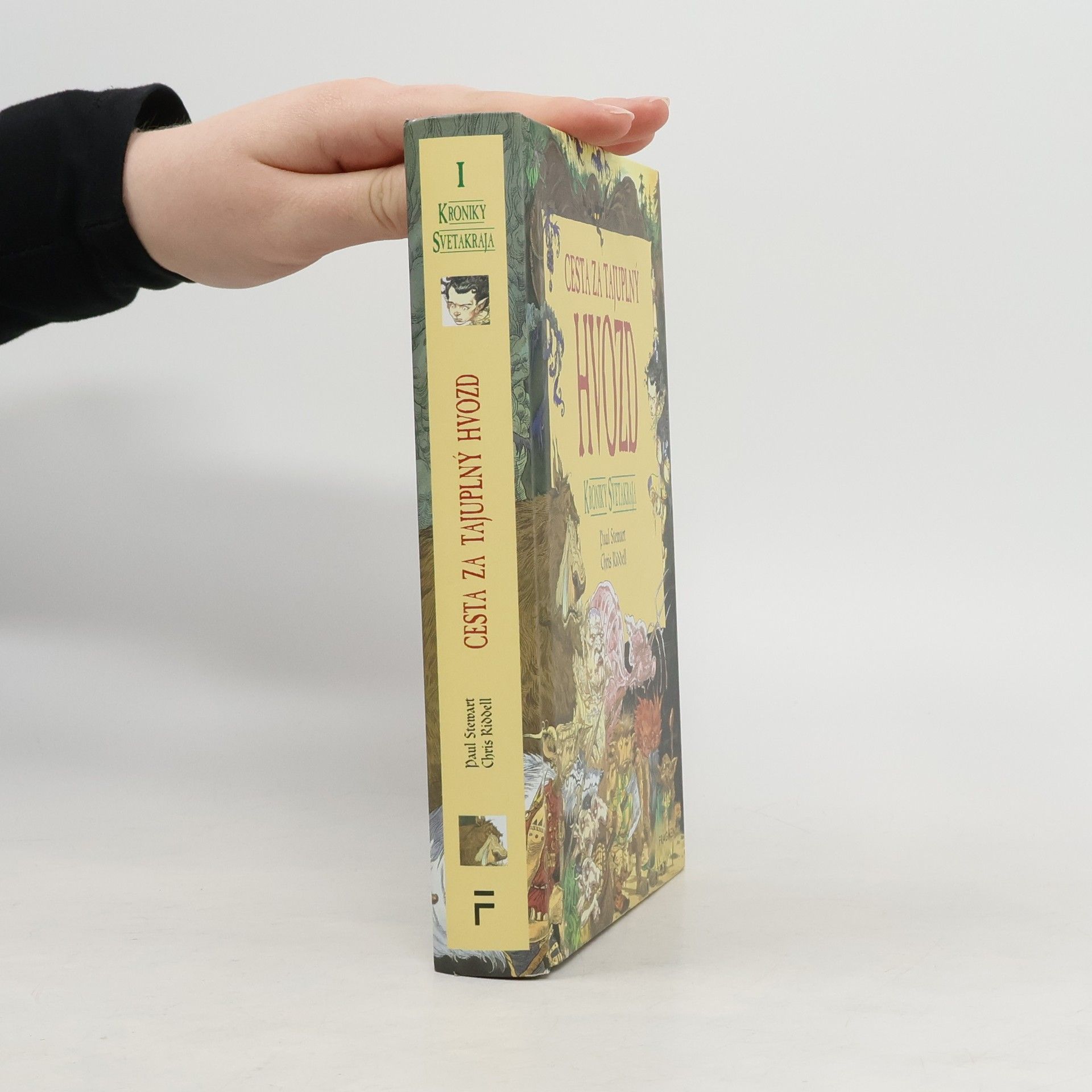 Chris Riddell Kroniky Svetakraja : Cesta za tajuplný hvozd