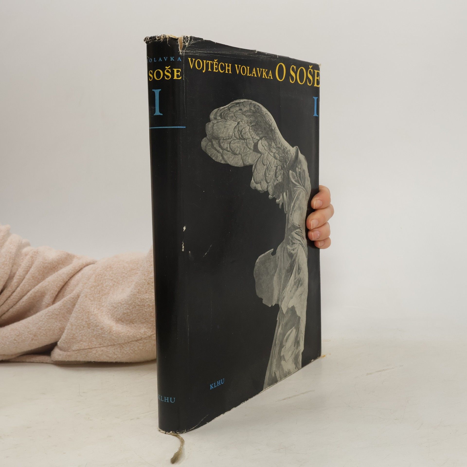 Vojtěch Volavka O soše I.