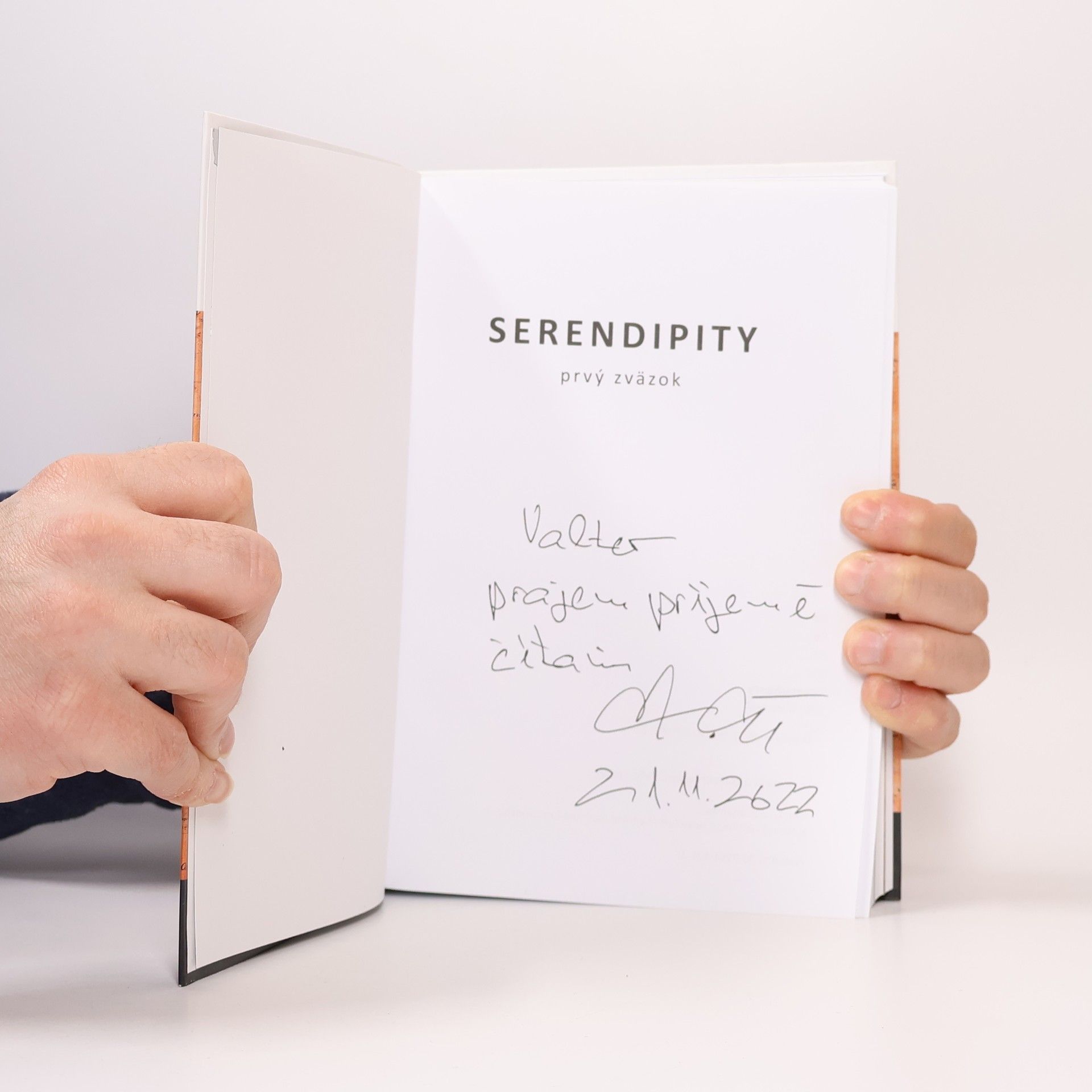 Viliam Král Serendipity