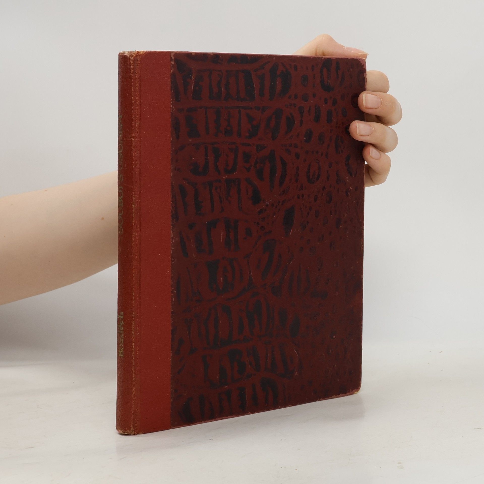 Václav R. Bozděch Souboj s osudem