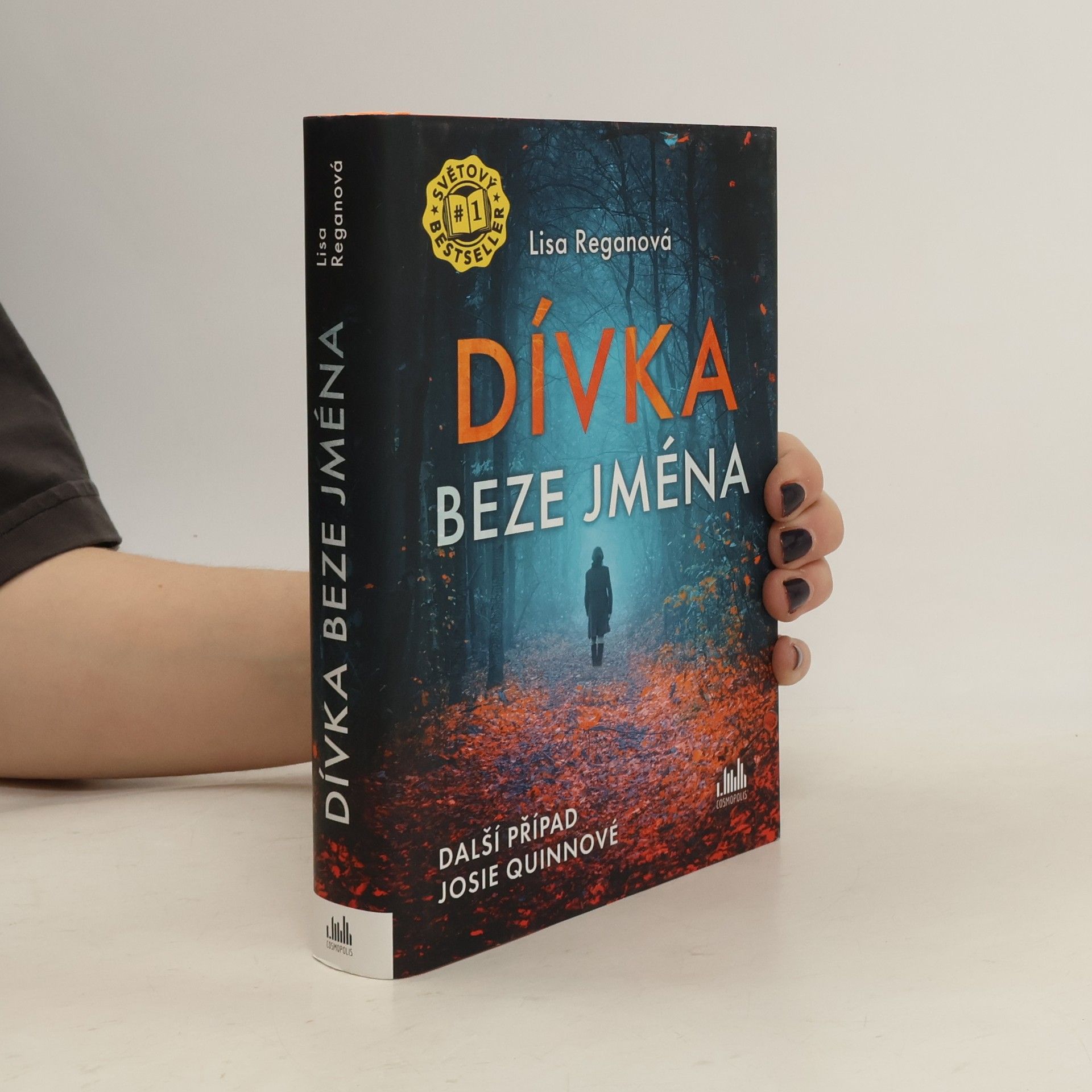 Lisa Regan Dívka beze jména: Další případ Josie Quinnové