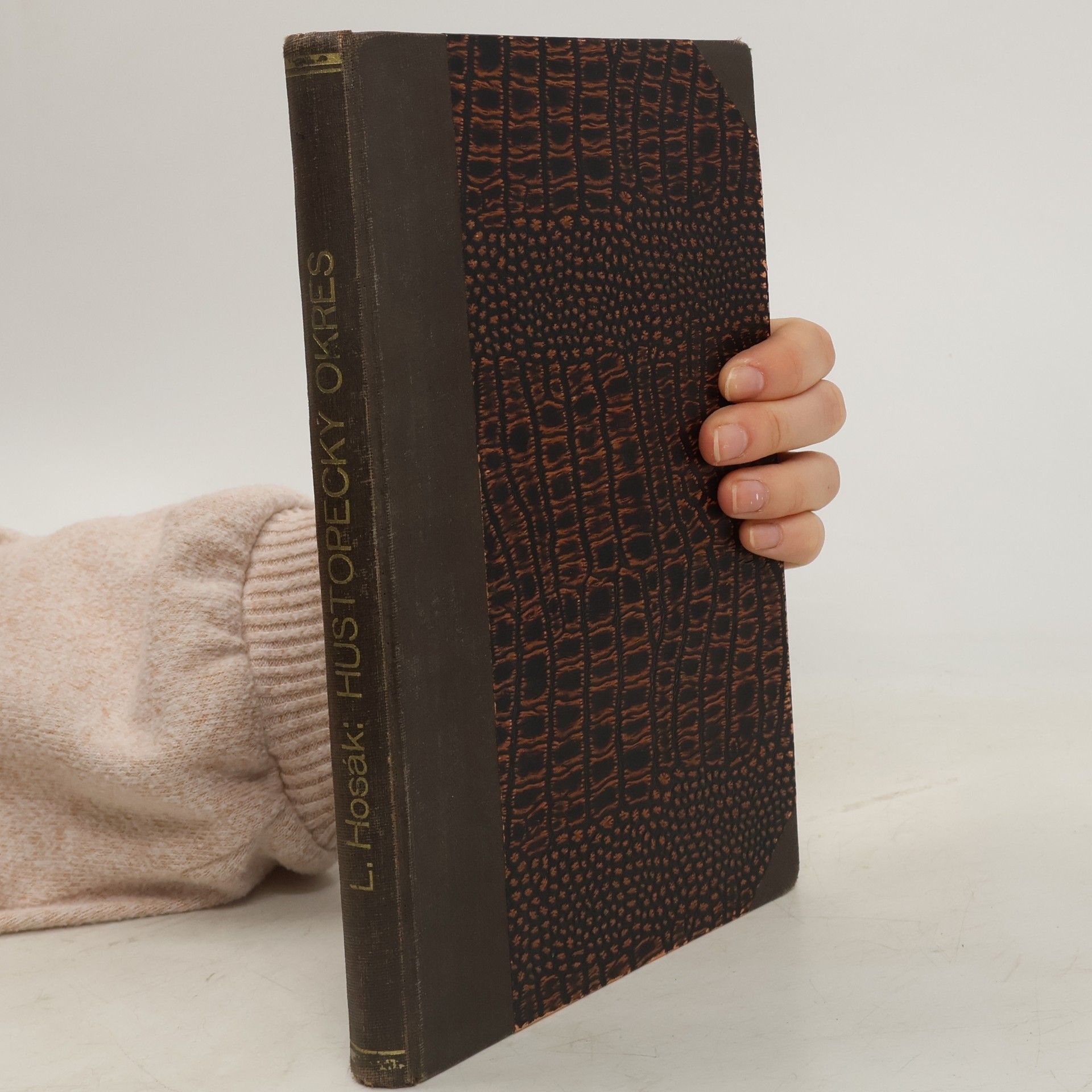 Ladislav Hosák Vlastivěda moravská. II. Místopis. Hustopecký okres