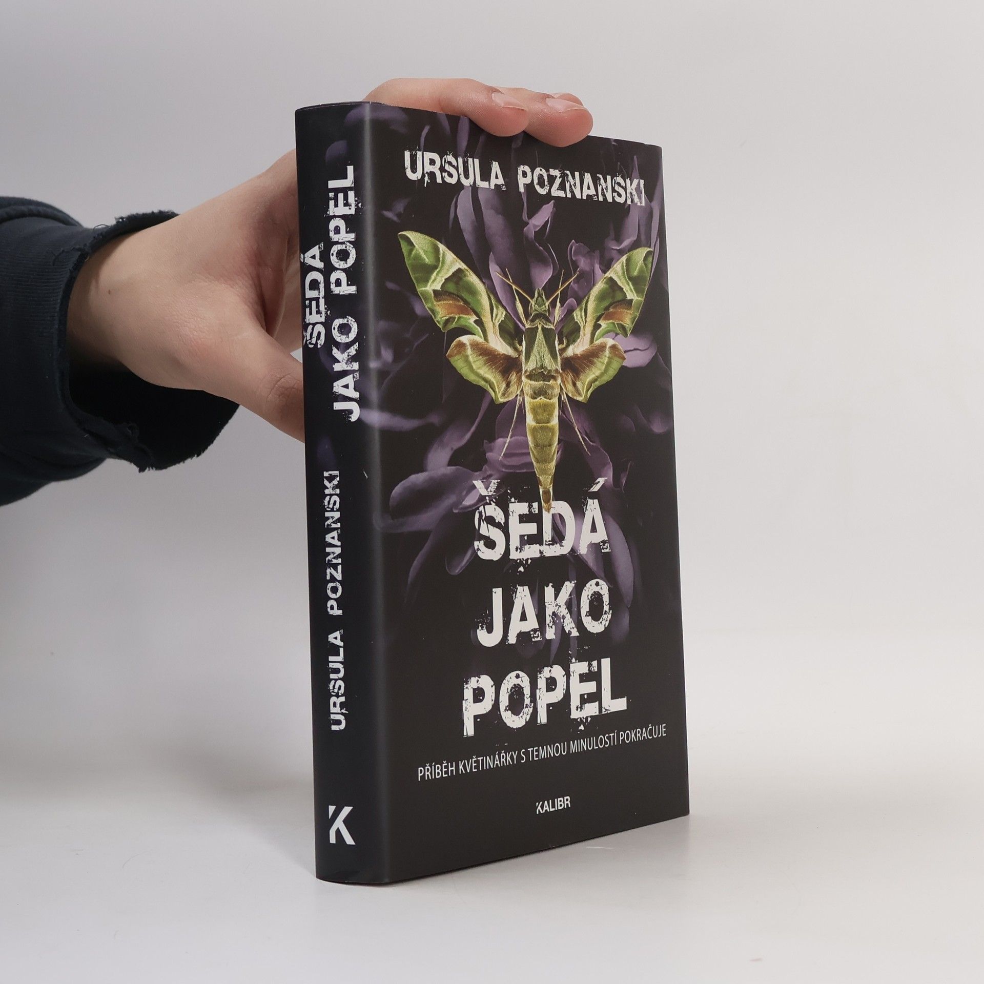 Ursula Poznanski Šedá jako popel