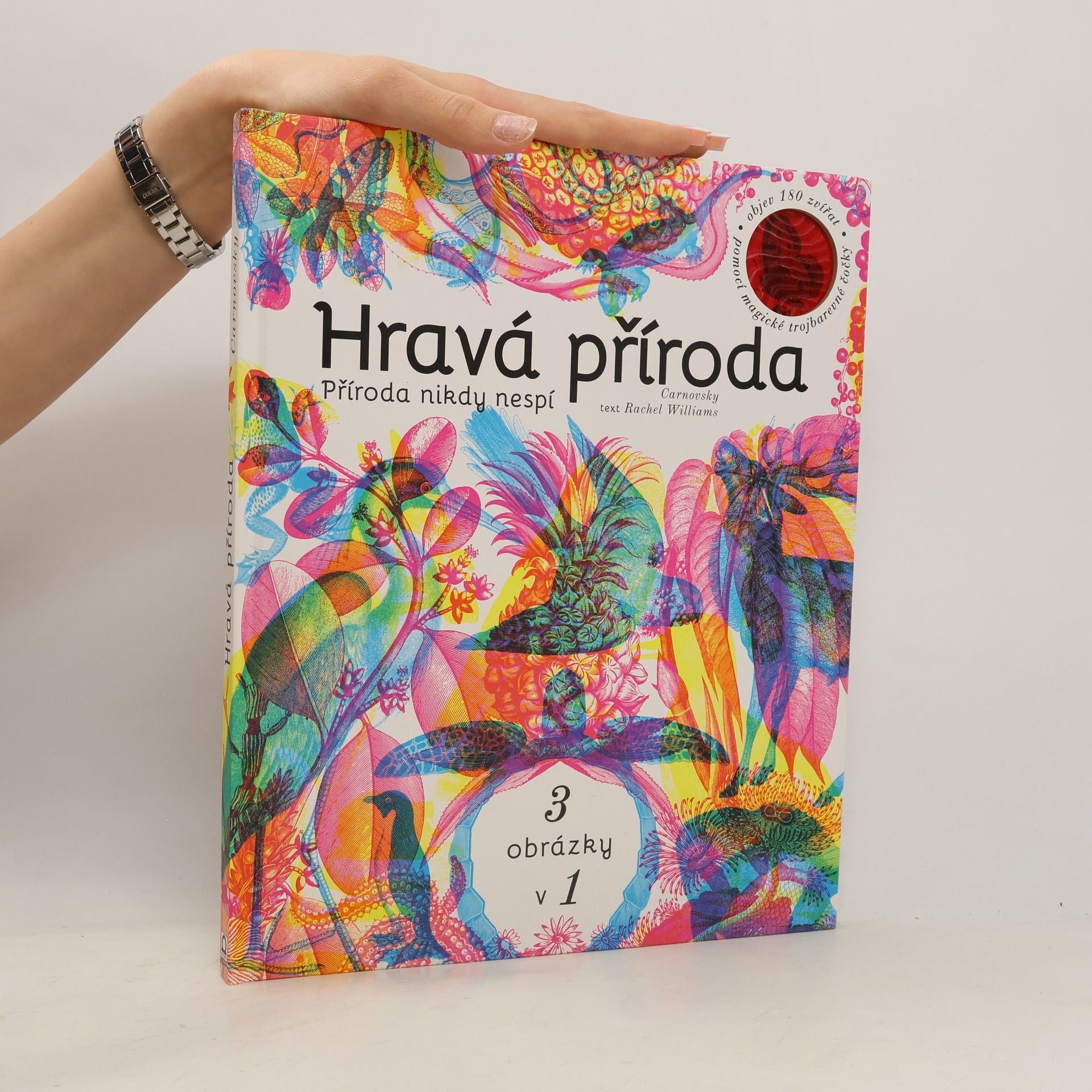 Rachel Williams Hravá příroda - Příroda nikdy nespí