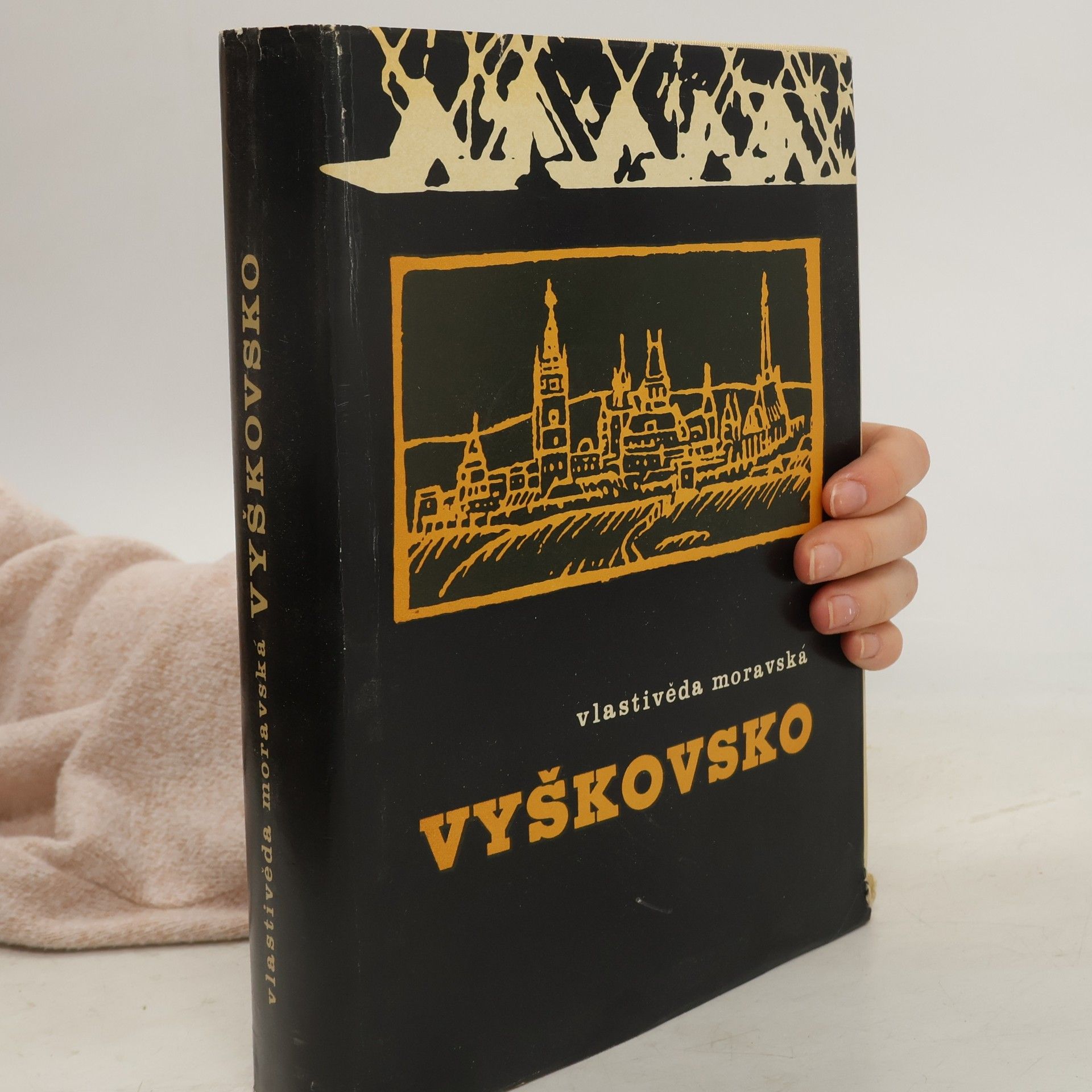 Kolektiv autorů Vyškovsko