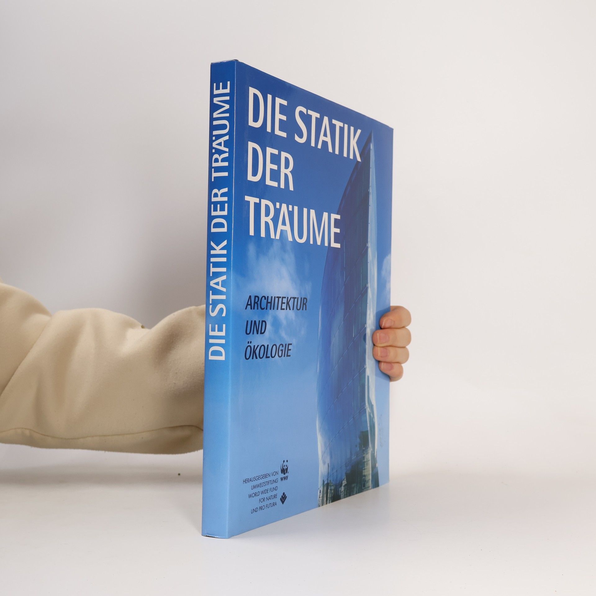 Autorenkollektiv Die Statik der Träume