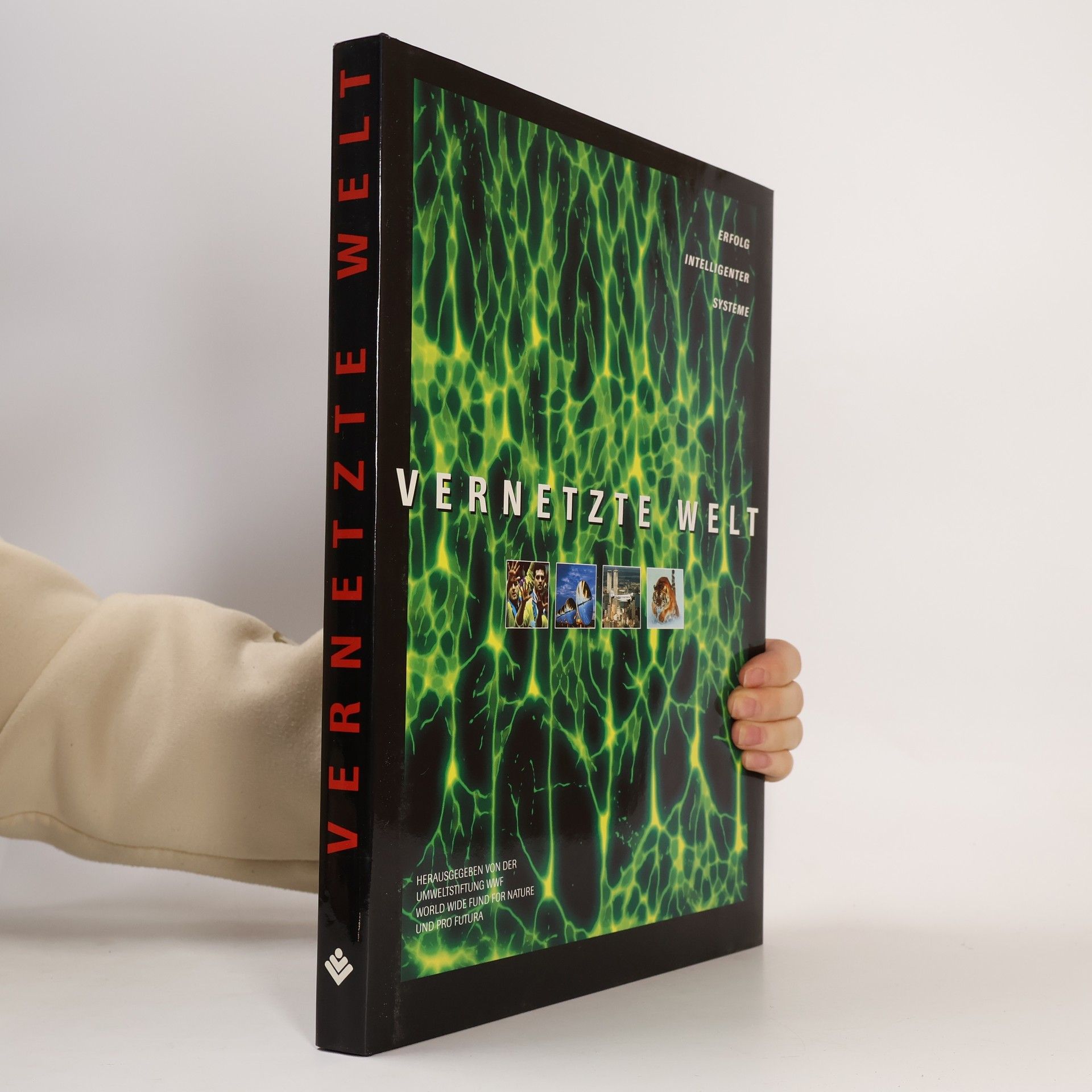 Kolektiv autorů Vernetzte Welt: Erfolg intelligenter Systeme