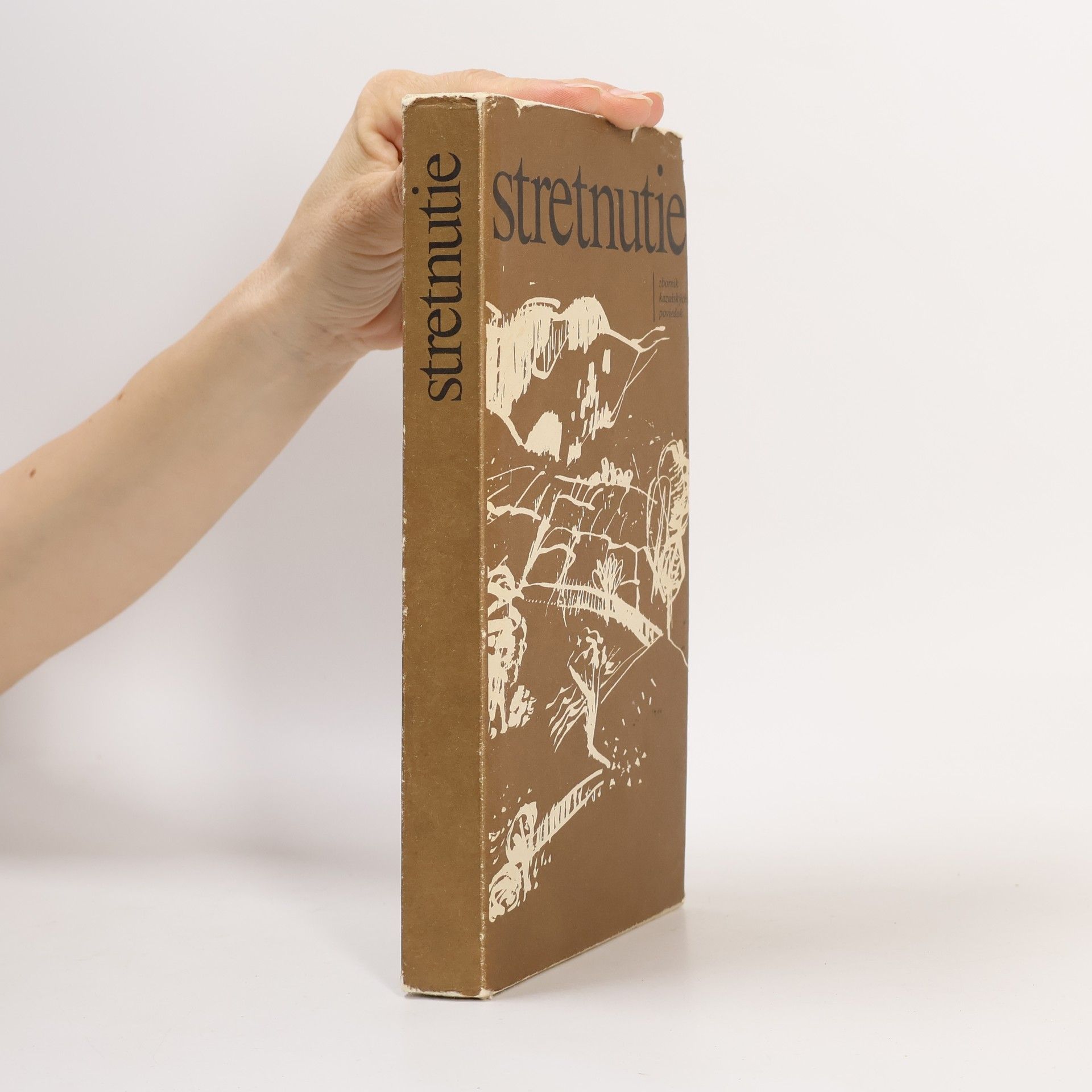 Kolektiv autorů Stretnutie : zborník kazašských poviedok