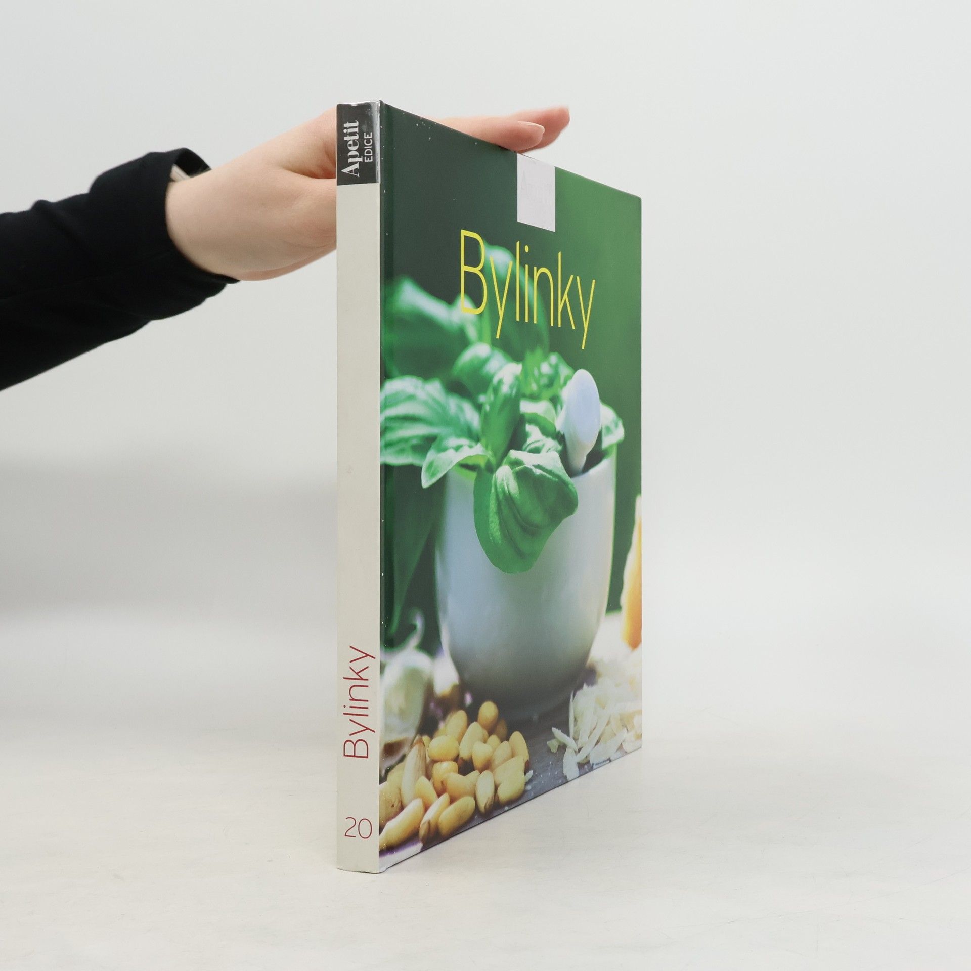 Autores varios Bylinky