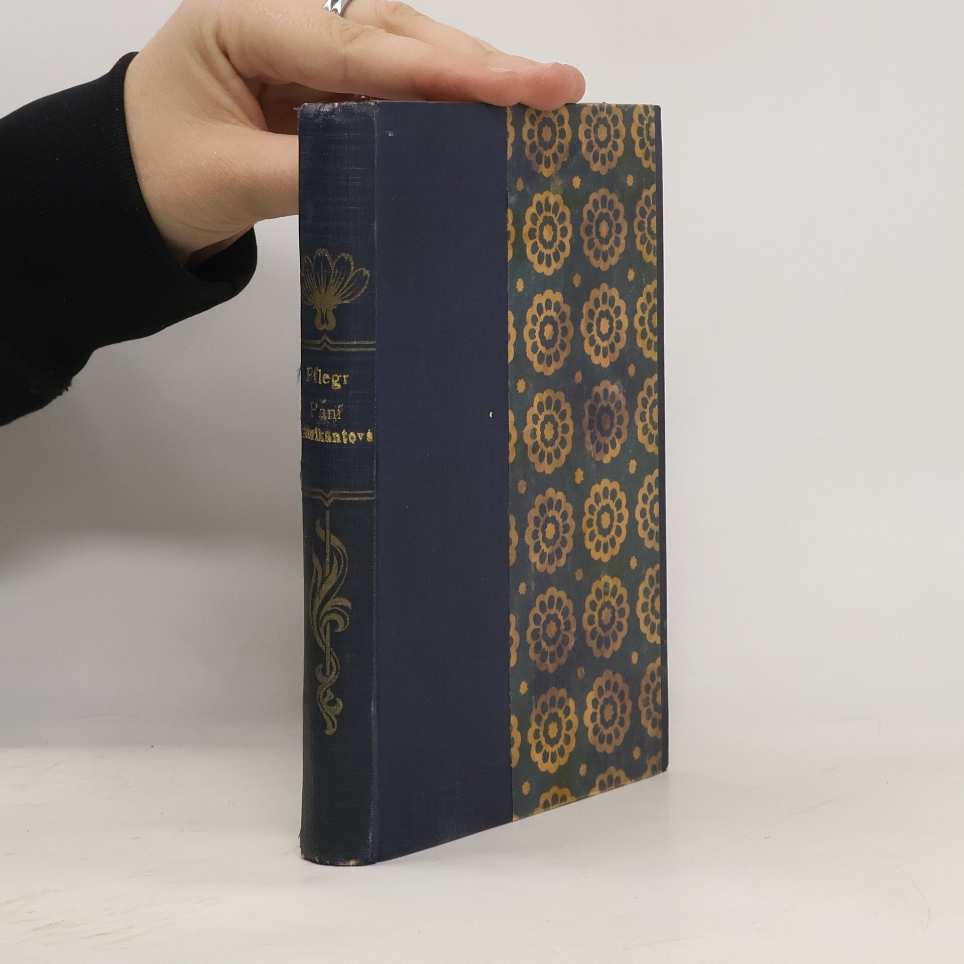 Gustav Pfleger Moravský Paní Fabrikantová