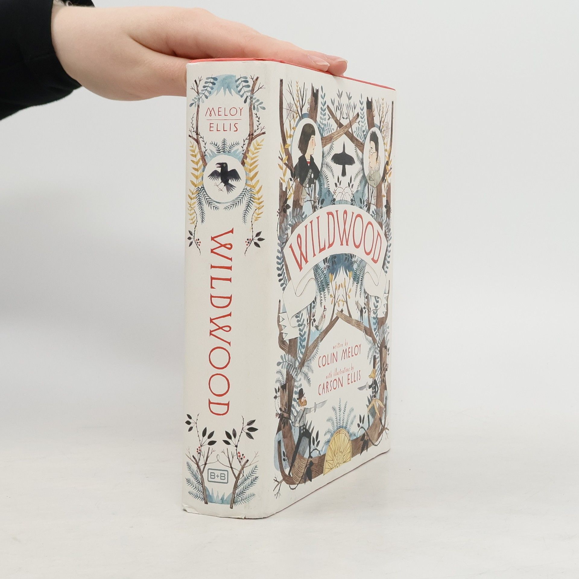 Colin Meloy Wildwood Chronicles - 1: Wildwood