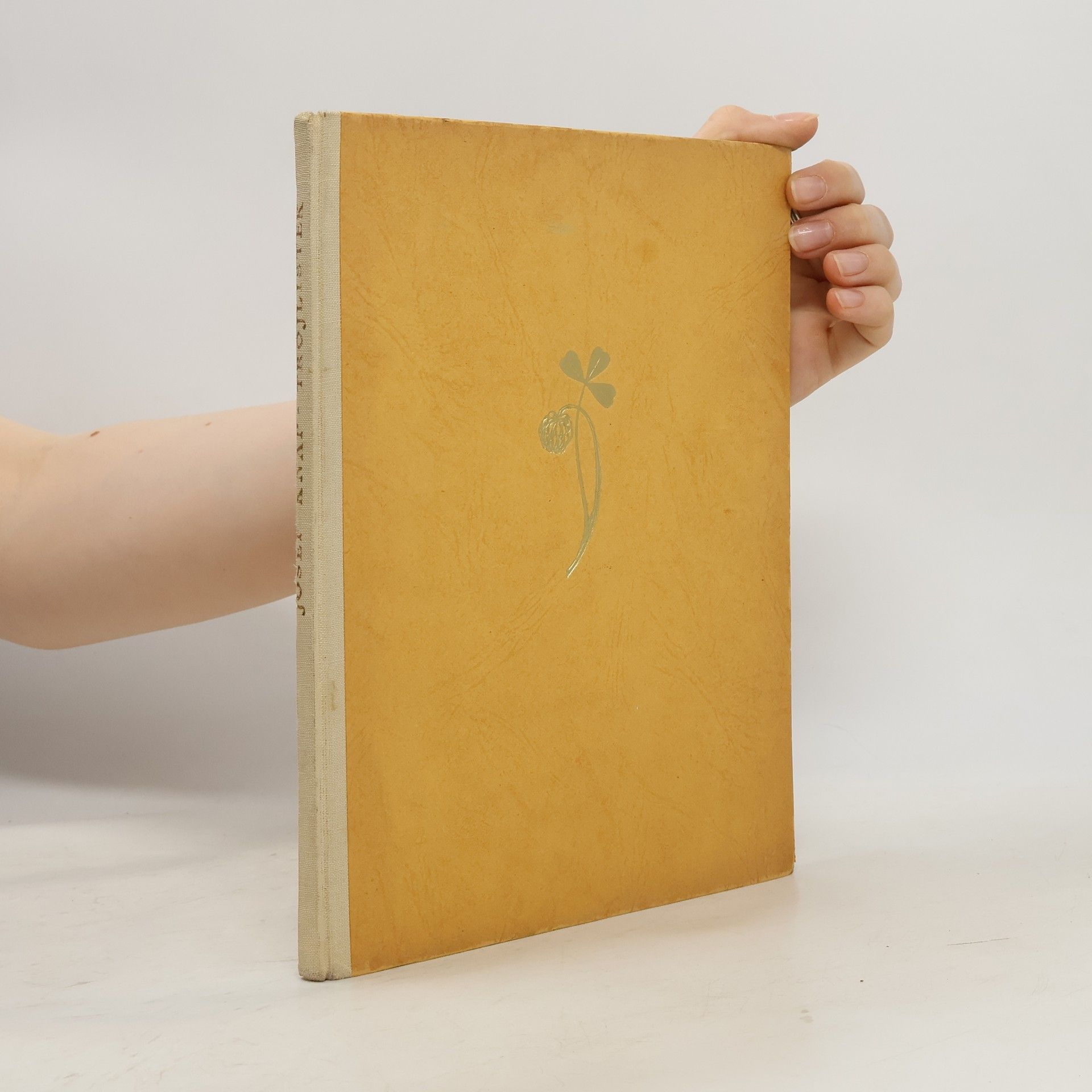 Trojlístek. Dětské příběhy