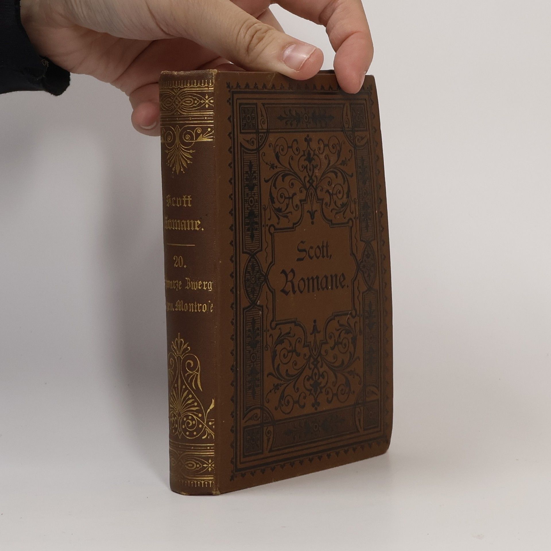 Walter Scott Der Schwarze Zwerg