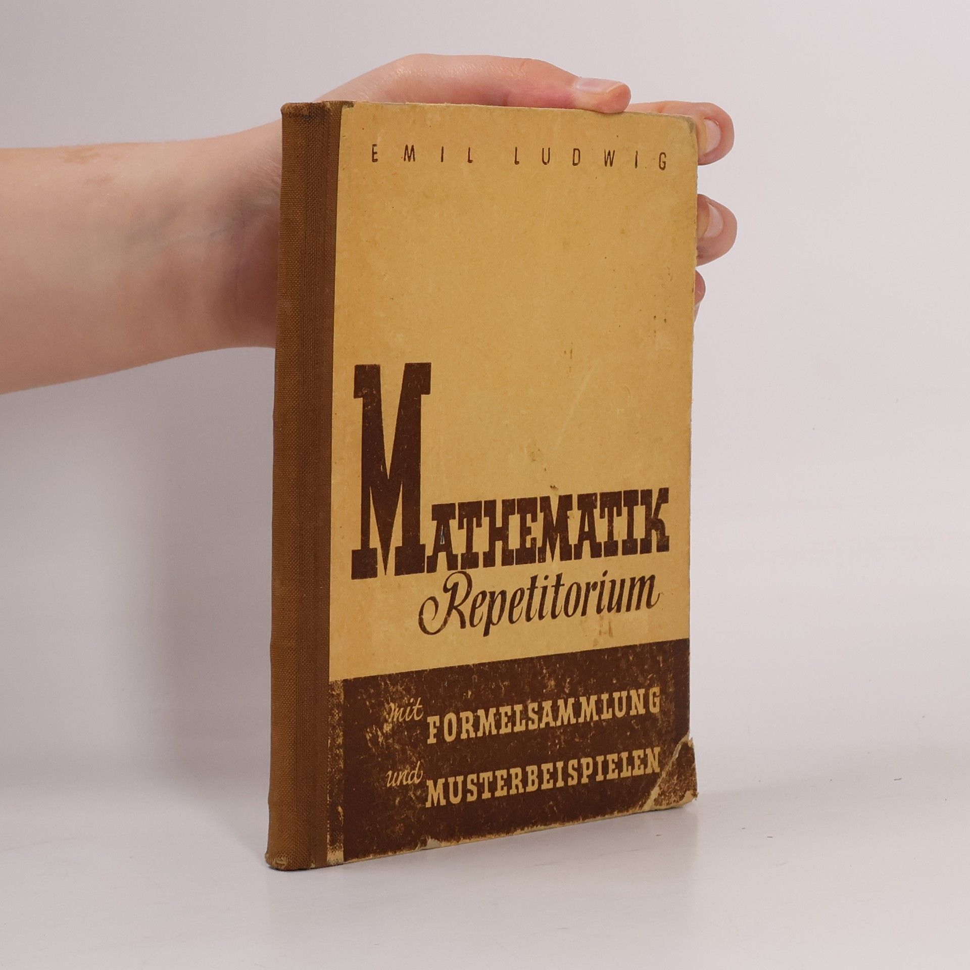 Emil Ludwig Mathematik-Repetitorium