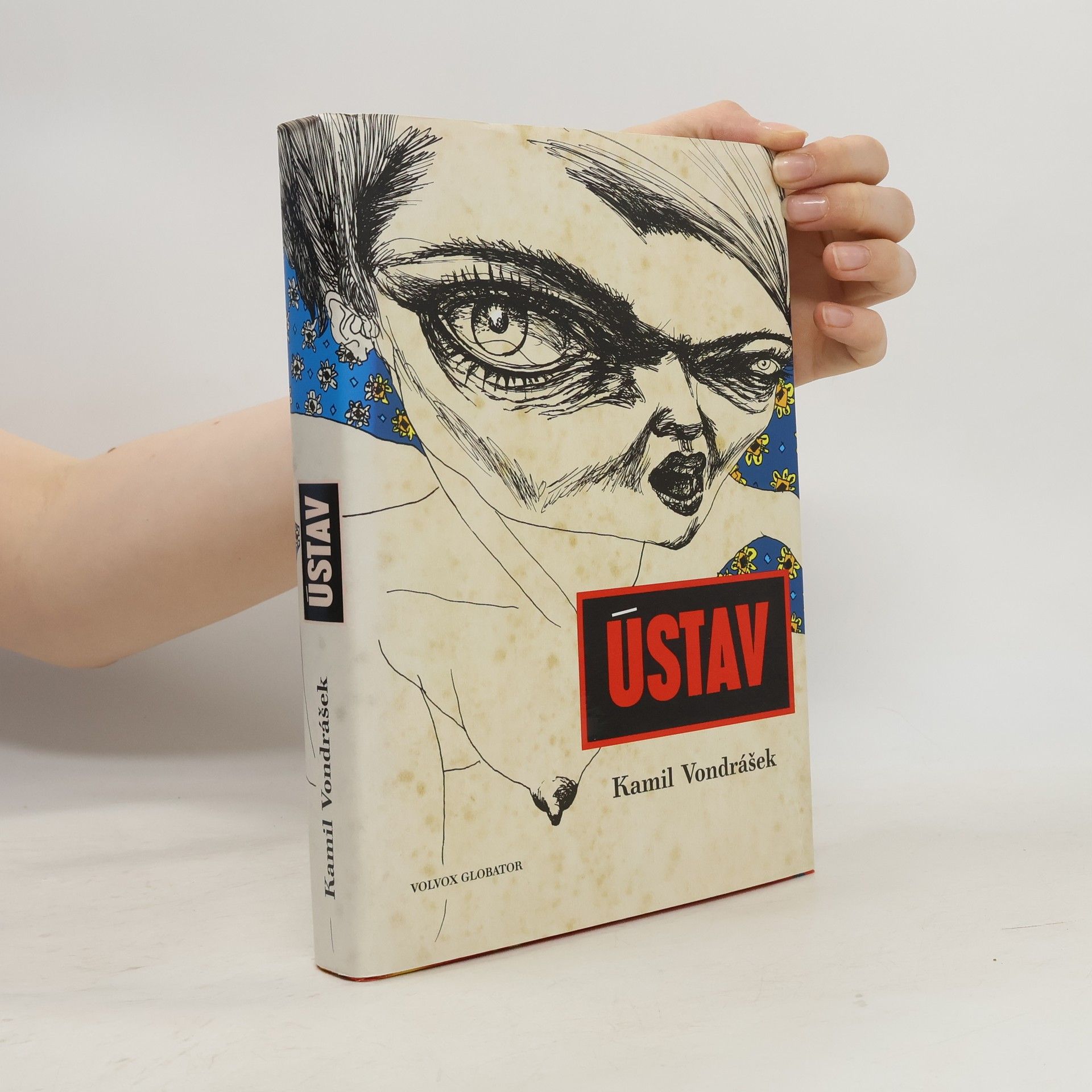 Kamil Vondrášek Ústav