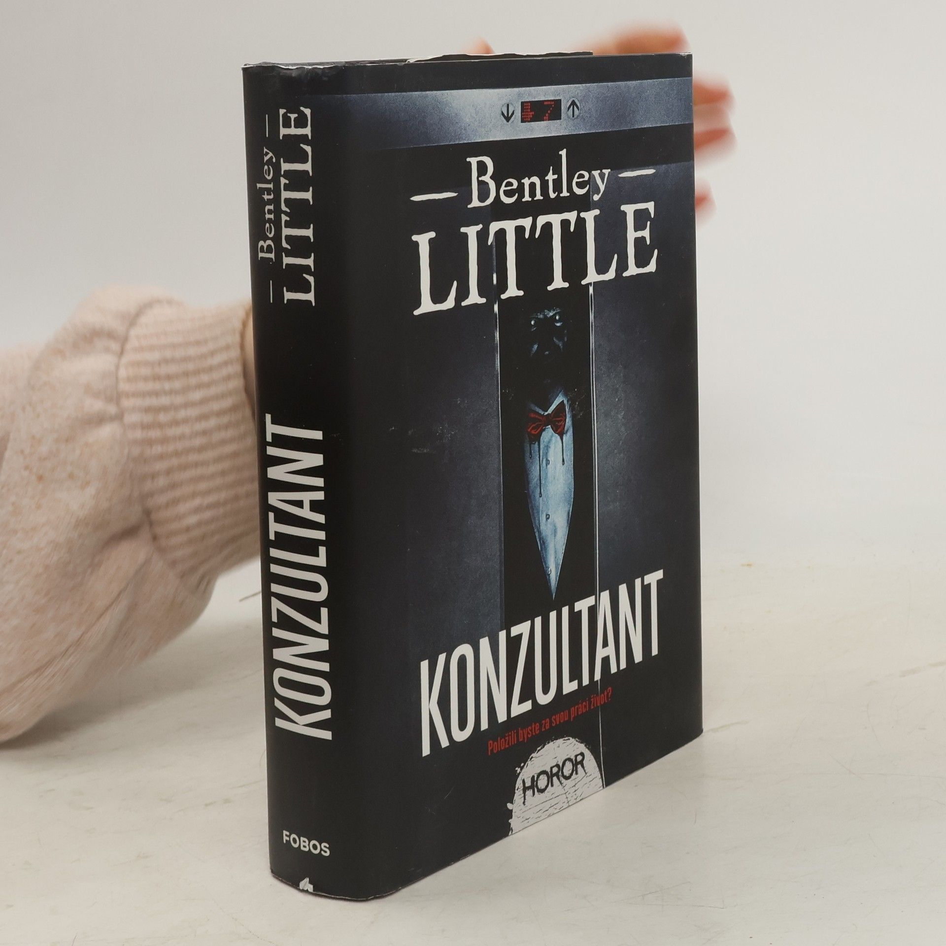 Bentley Little Konzultant