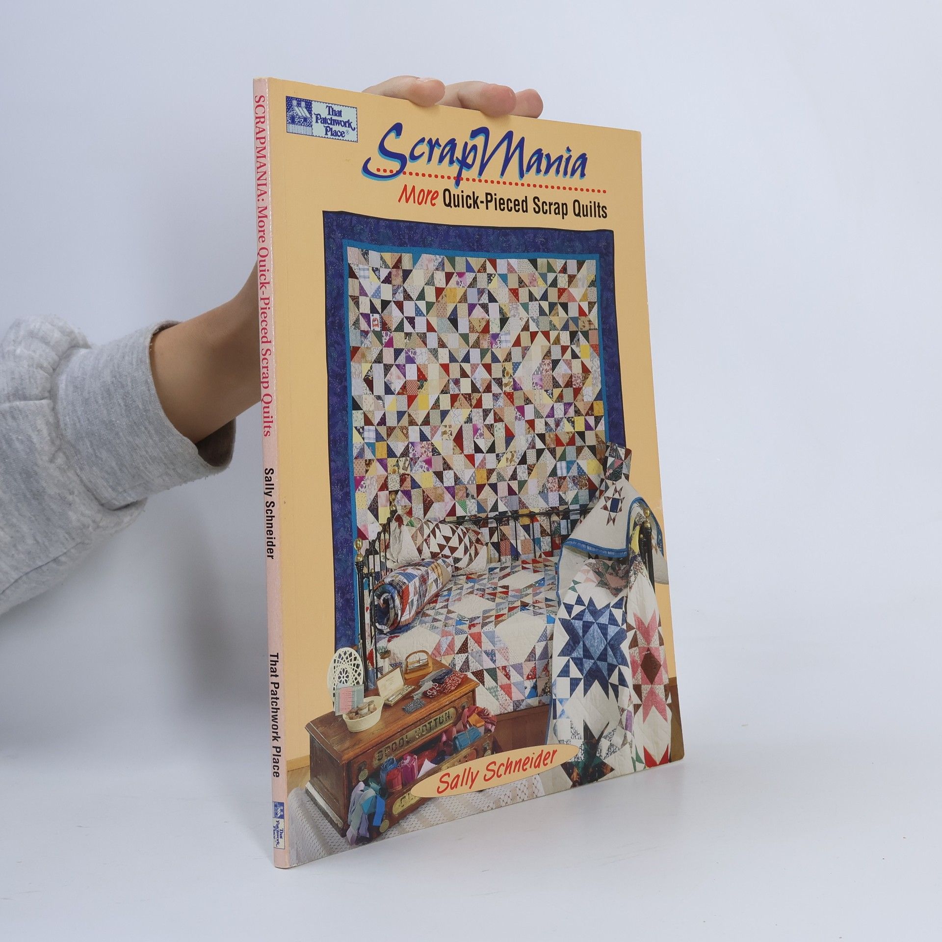 Sally Schneider Scrap Mania