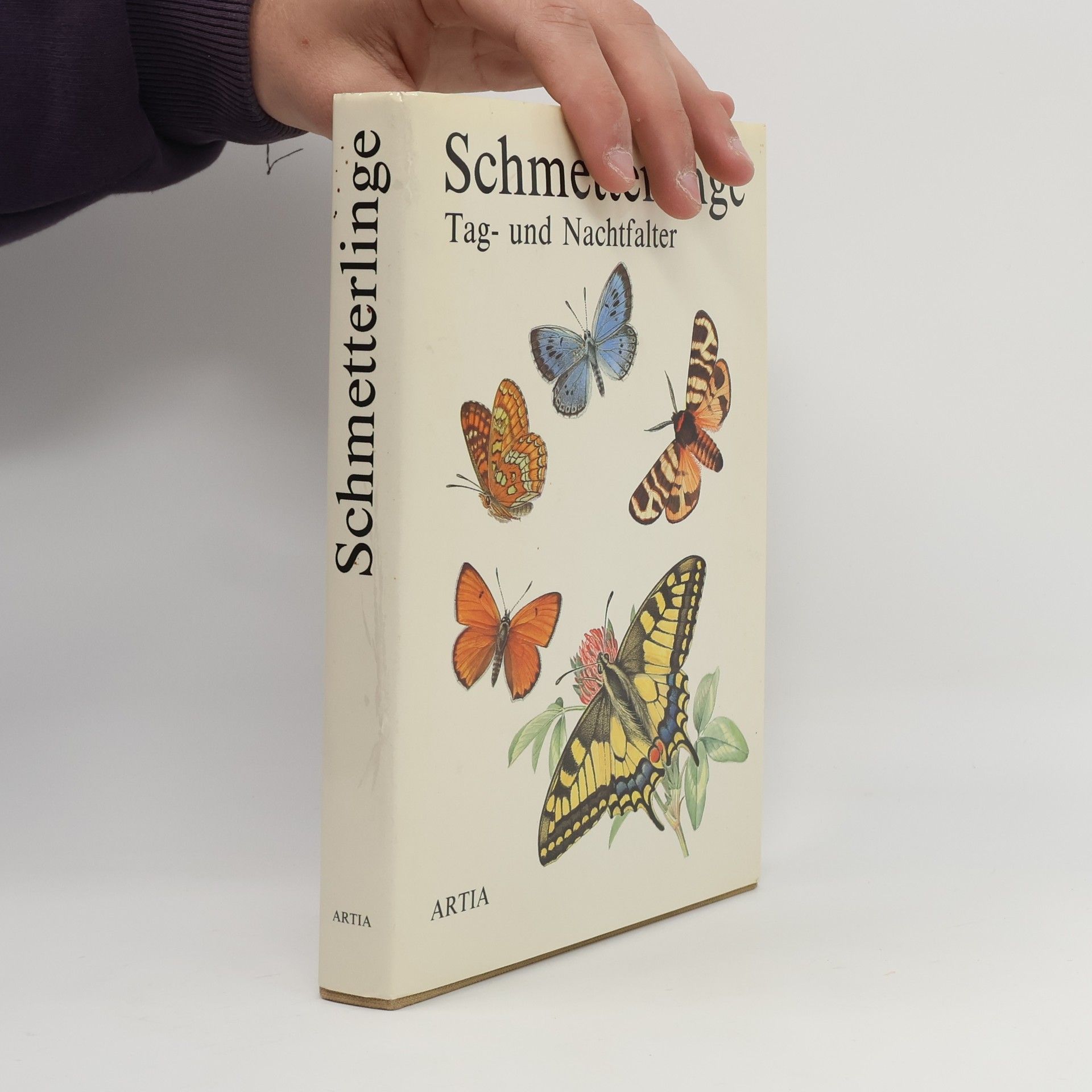 Ivo Novák Schmetterlinge. Tag- und Nachtfalter