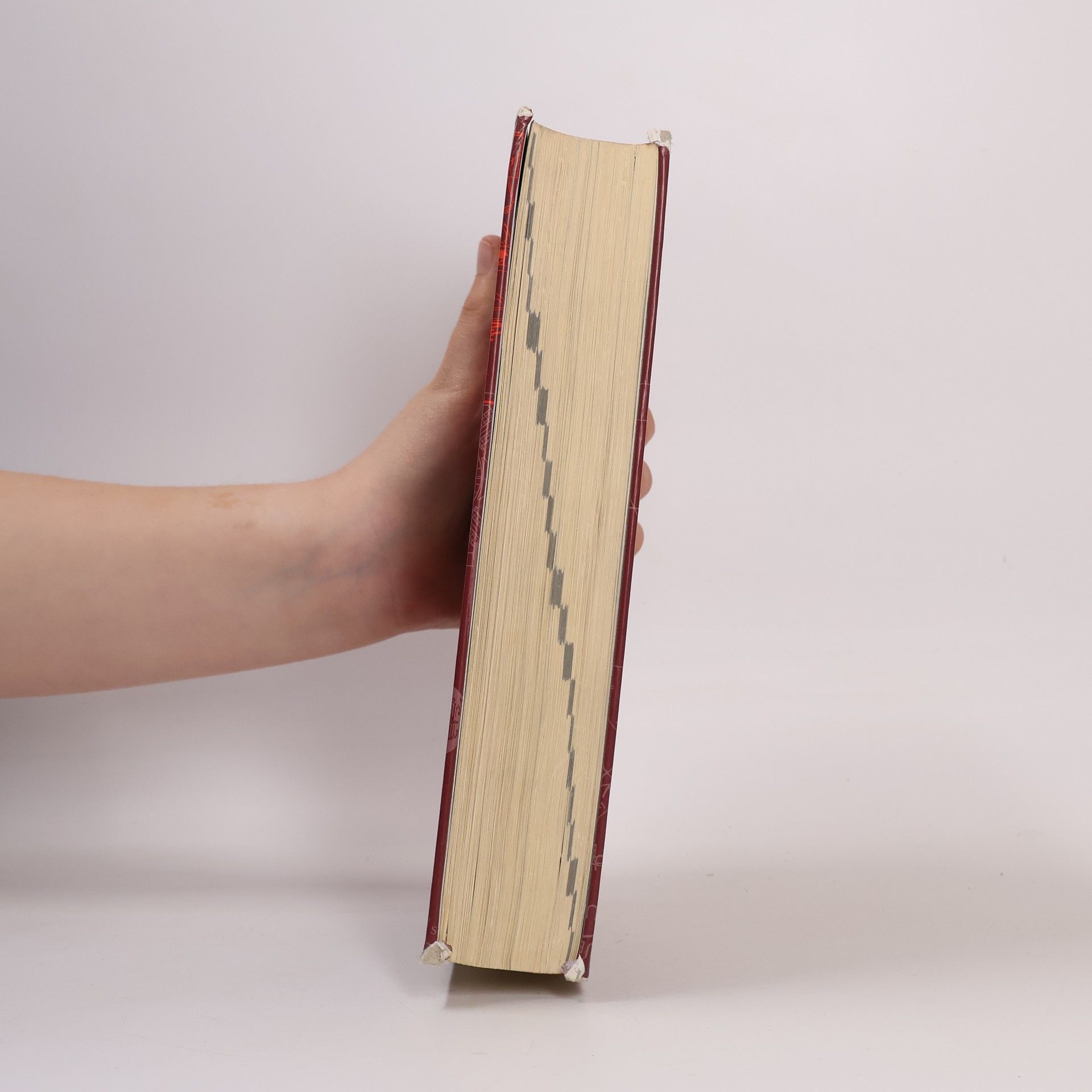 Dieter Muhs Roloff/Matek Maschinenelemente