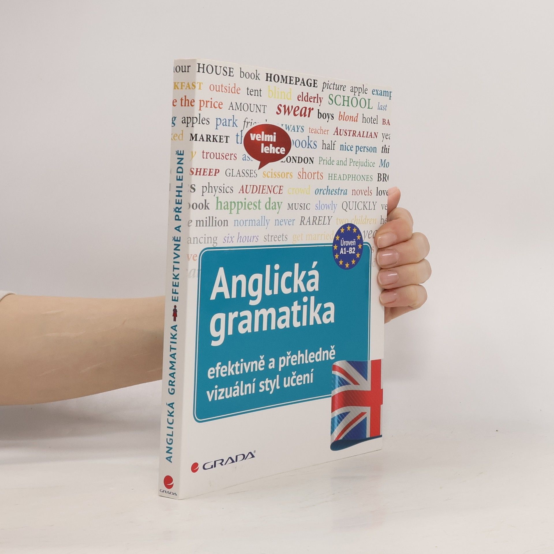 Martin Lutz Anglická gramatika - efektivně a přehledně