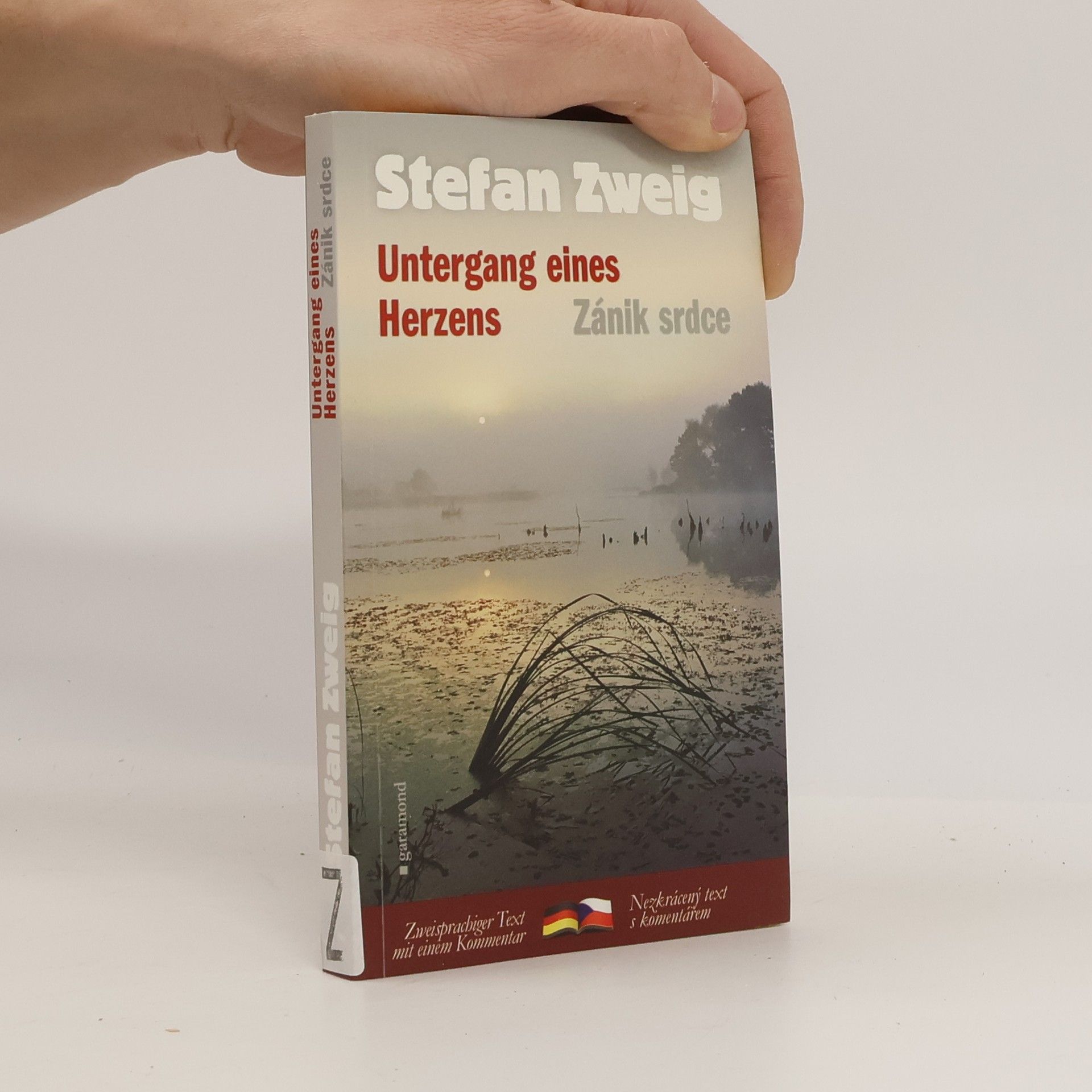 Stefan Zweig Untergang eines Herzens. Zánik srdce